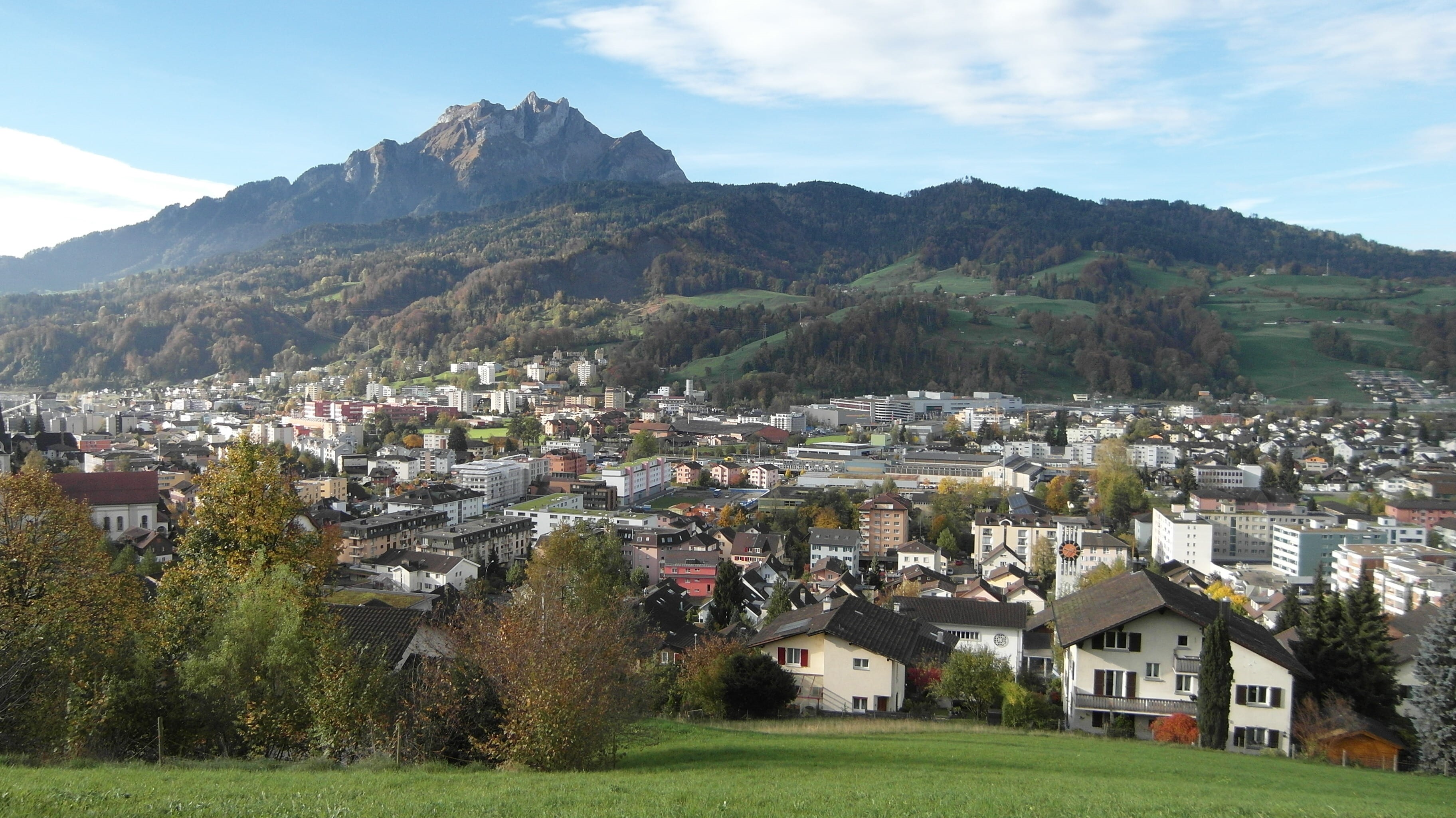high angle view, mountain, residential district, architecture, outdoors, day, tree, sky, lucerne, switzerland, 2K, horw, house, townscape, building, beauty in nature, HD Wallpaper