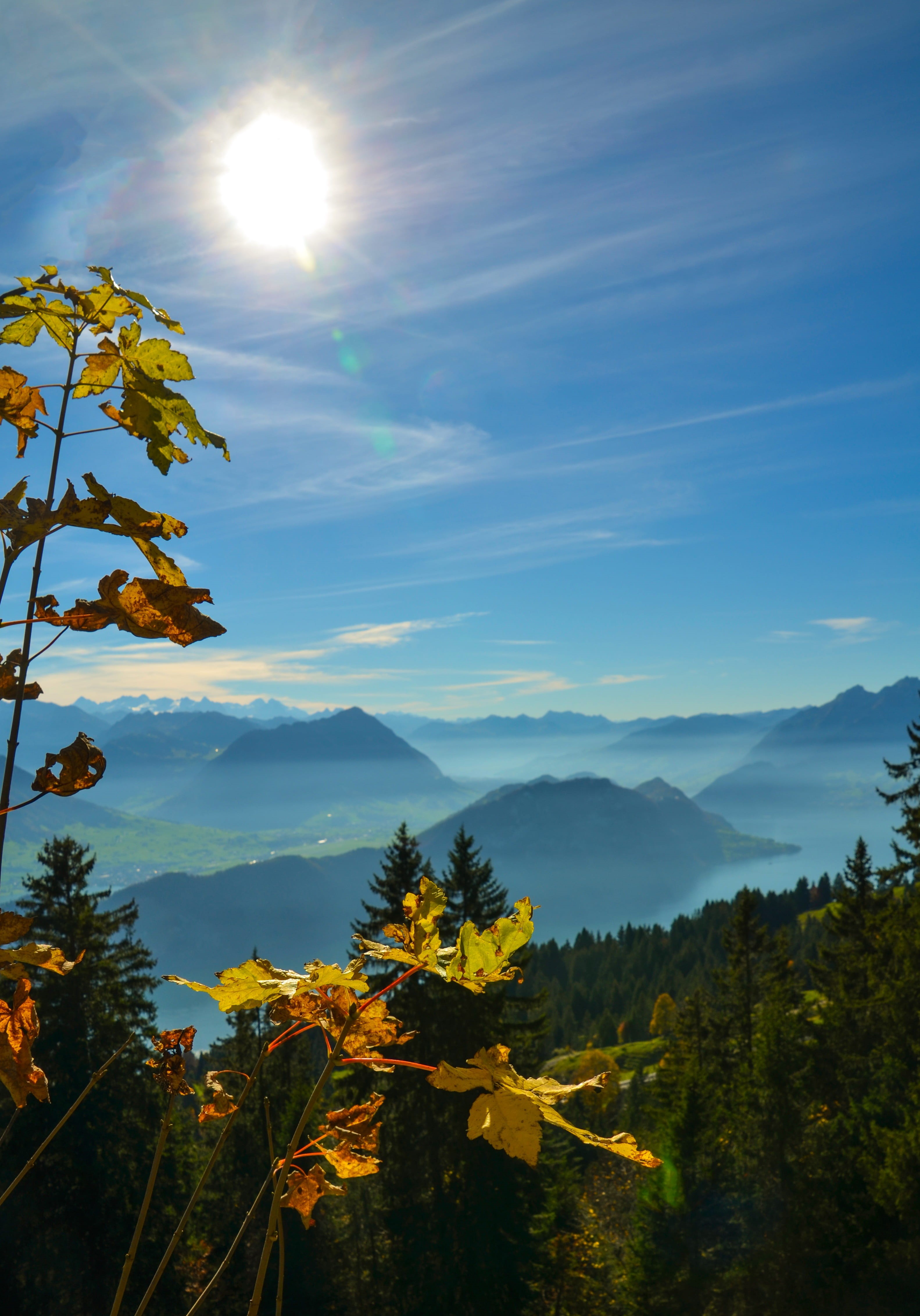 cloud - sky, mist, beauty in nature, 4K, yellow, autumn, distance, tranquility, central switzerland, mountain meadow, sky, scenics - nature, sun, tranquil scene, Phone HD Wallpaper