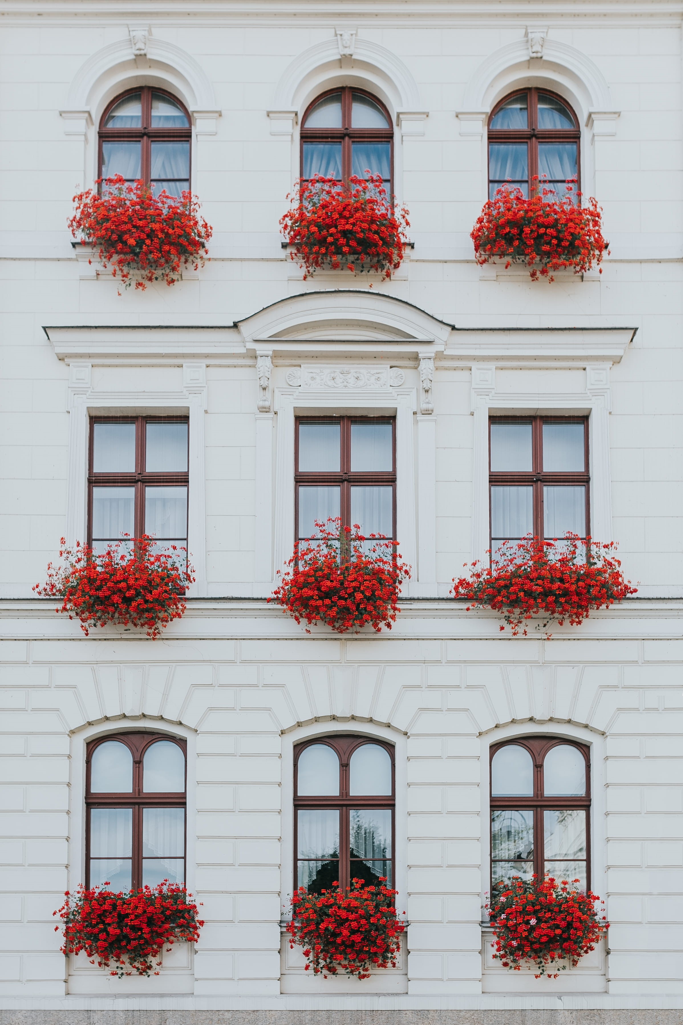 residential building, buildings, vintage, flowering plant, apartment, old town, tenement house, red, freshness, residential district, plant, town, no people, Phone HD Wallpaper