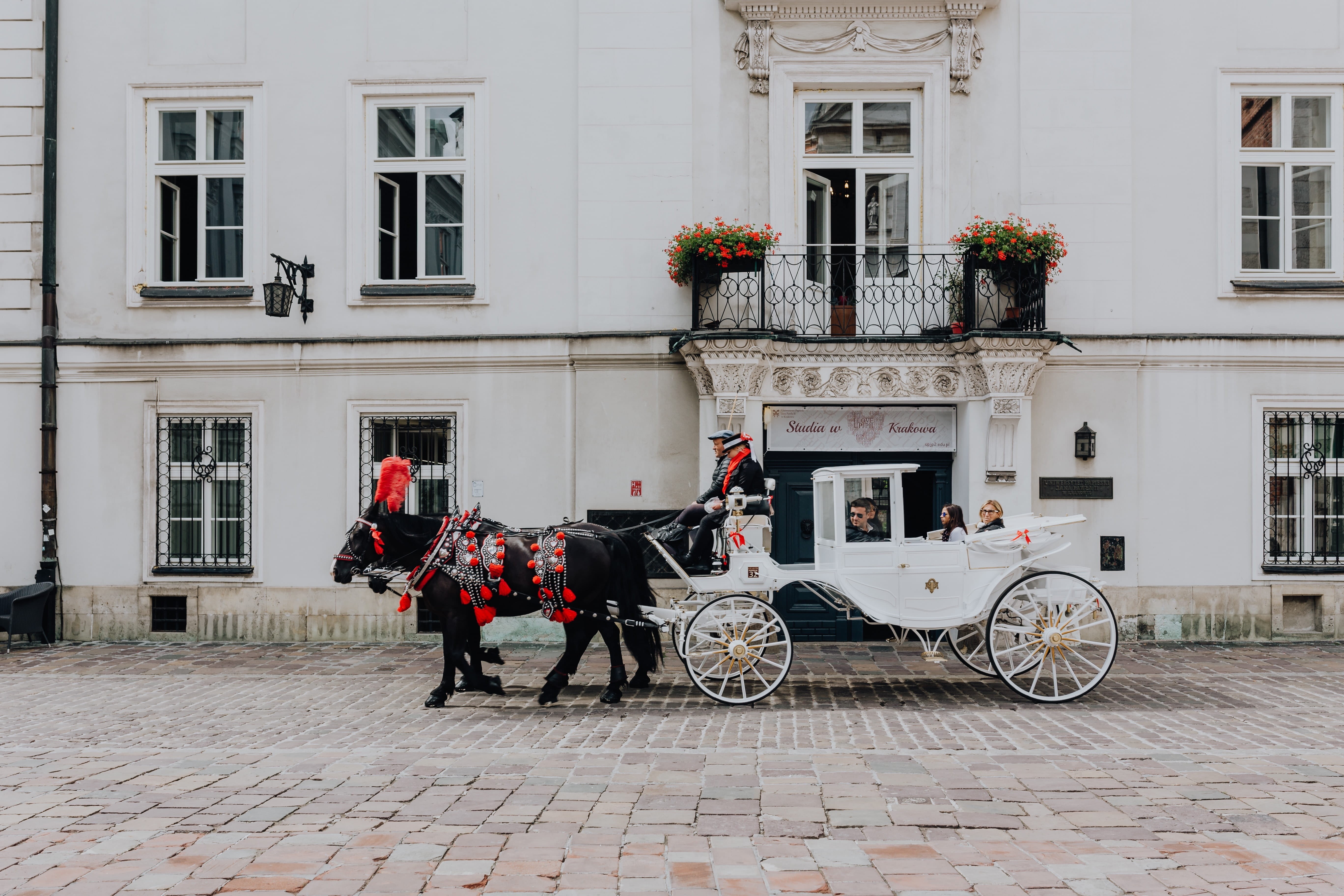 outdoors, karkow, day, horsedrawn, pets, herbivorous, domestic, 5K, animal themes, polska, magic, domestic animals, architecture, building, land vehicle, HD Wallpaper