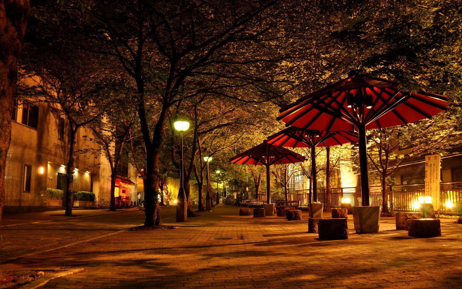night, building exterior, park - man made space, plant, bench, tree, street light, illuminated, seat, lights, urban, trees, built structure, park, photography, HD Wallpaper