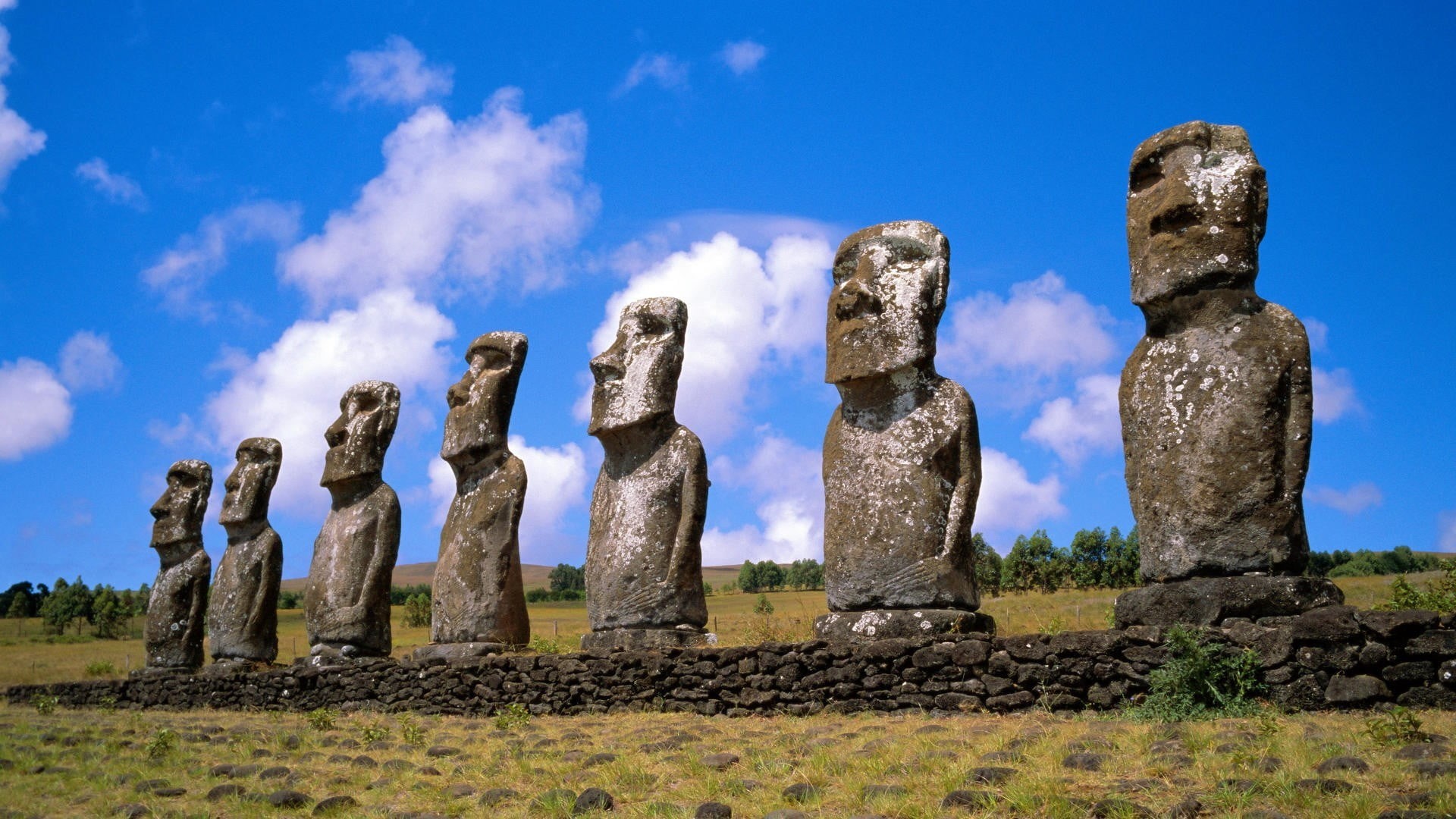 seven, archaeology, architecture, ancient civilization, travel destinations, ruined, Easter Island, human, history, sculpture, day, blue, concrete, outdoors, HD Wallpaper