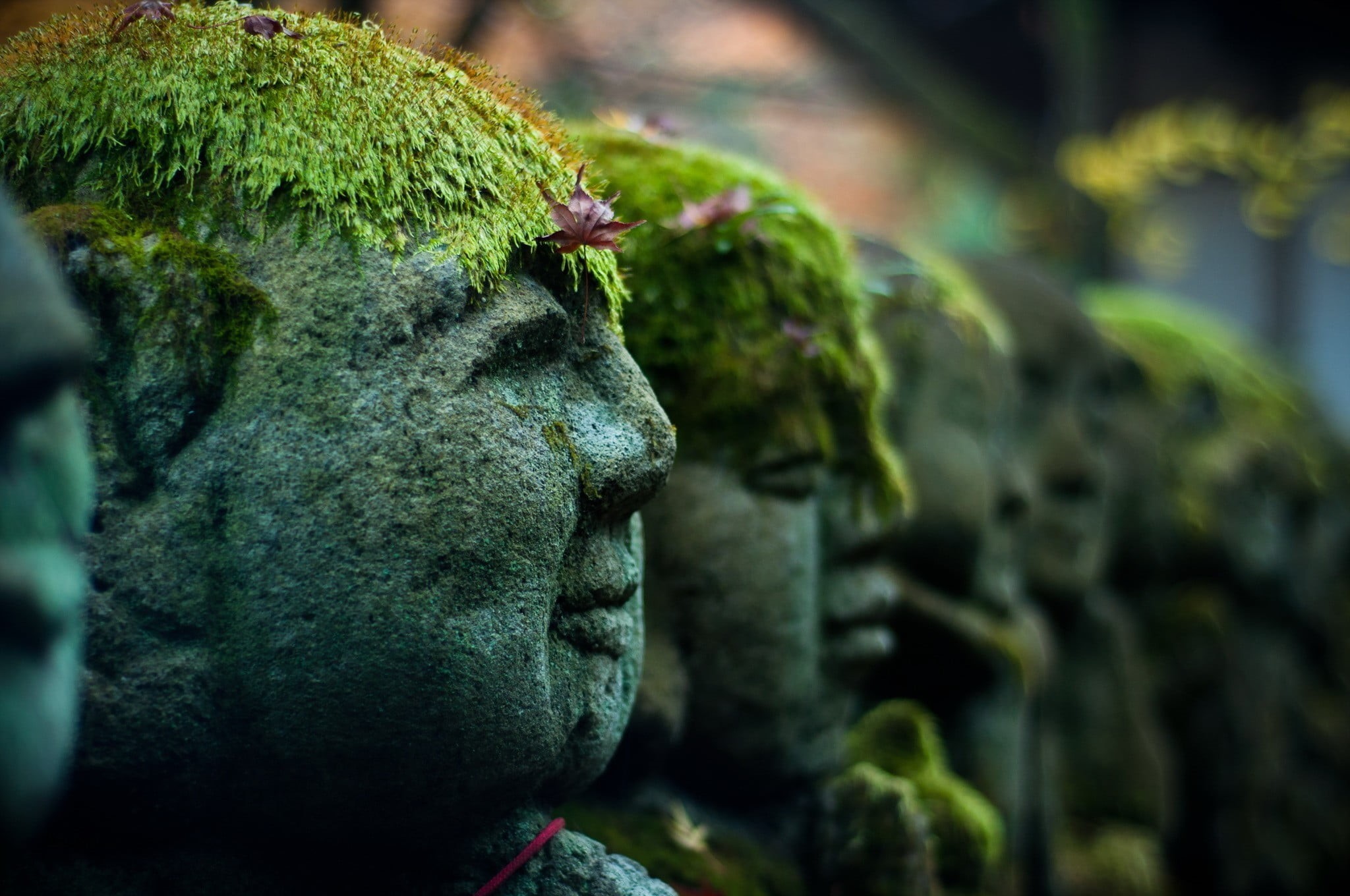 focus on foreground, representation, craft, moss, no people, angel, female likeness, sculpture, spirituality, stone material, selective focus, photography, HD Wallpaper