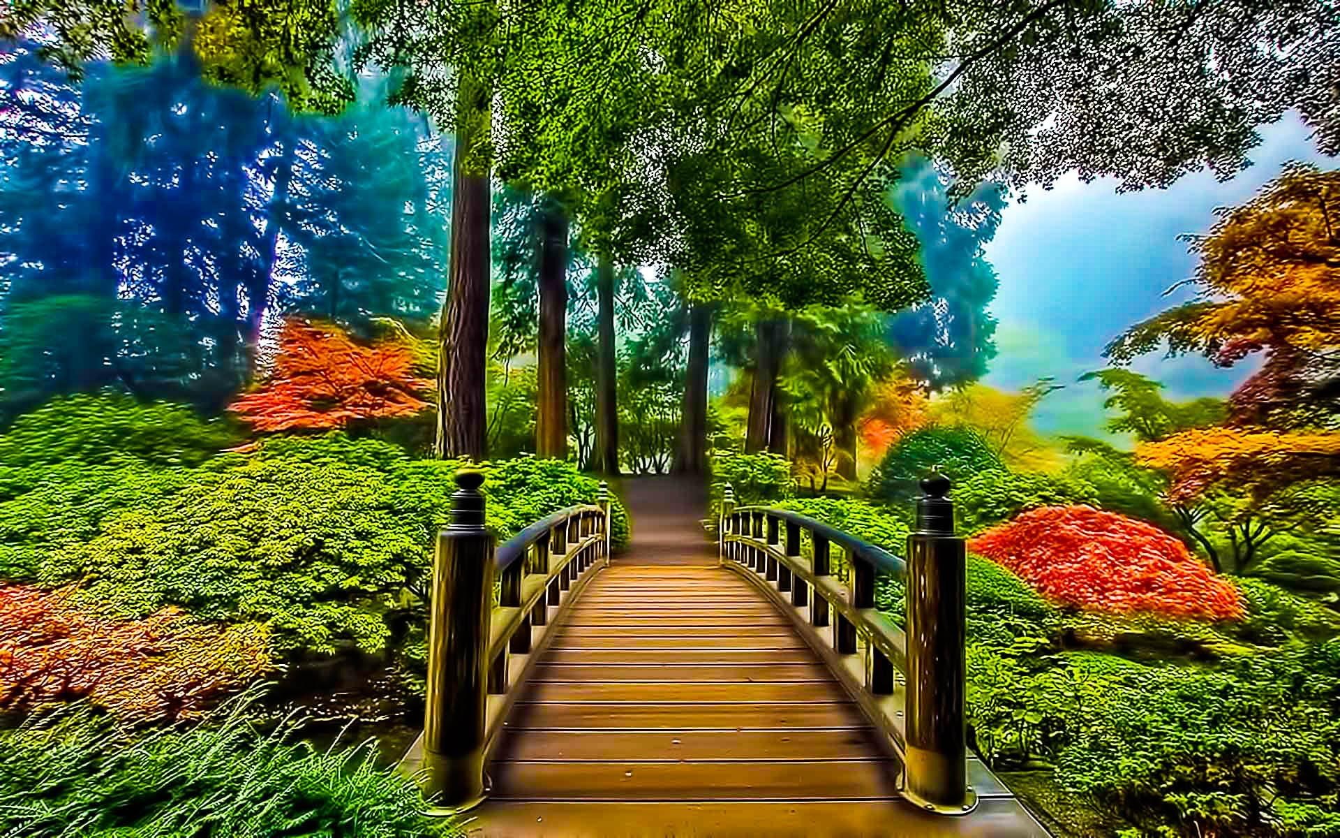 bridge, rails, garden, nature, bushe, trees, yellow, landscape, orange, misty, autumn, green, 1080P, prosperity, beauty, HD Wallpaper