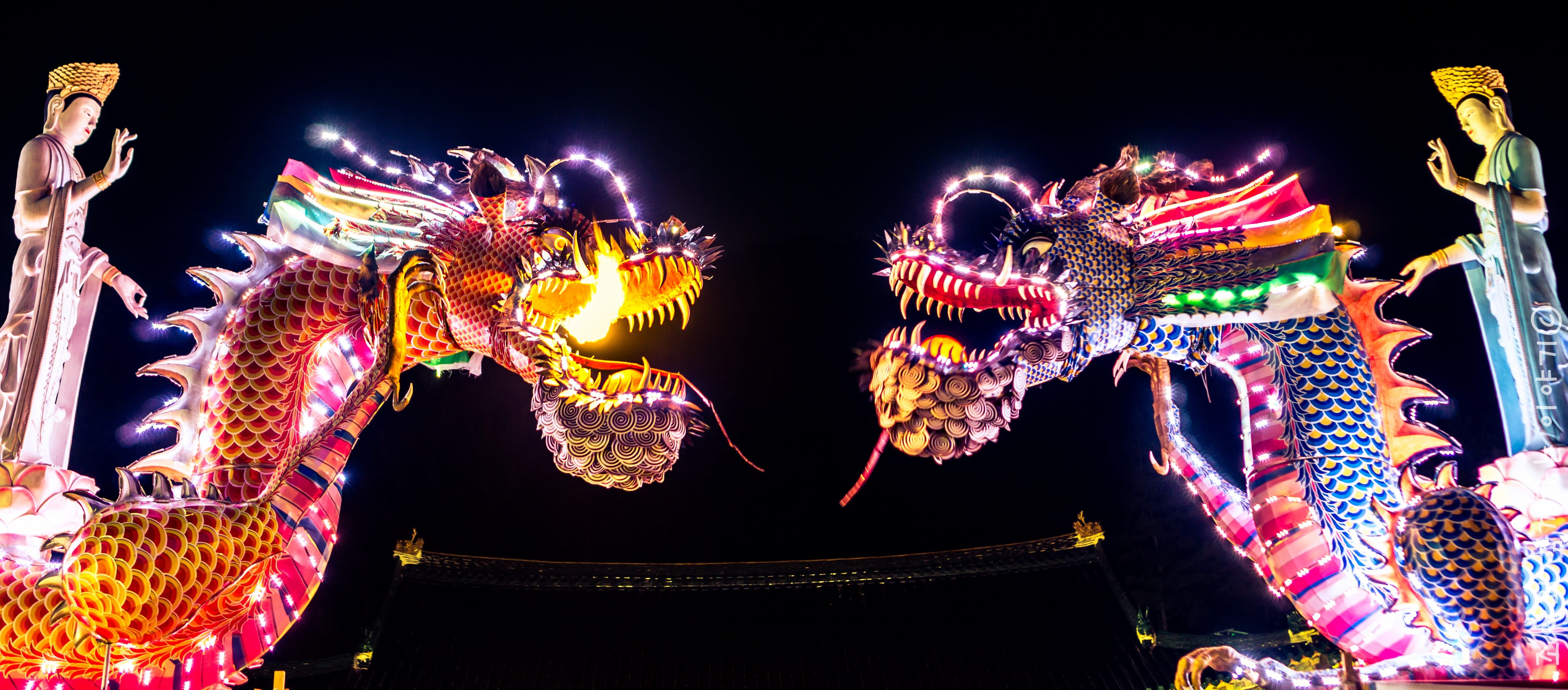 illuminated, sign, chinese lantern festival, festival, lantern, symbol, chinese new year, glowing, chinese dragon, oriental, night, holiday, ethnicity, HD Wallpaper