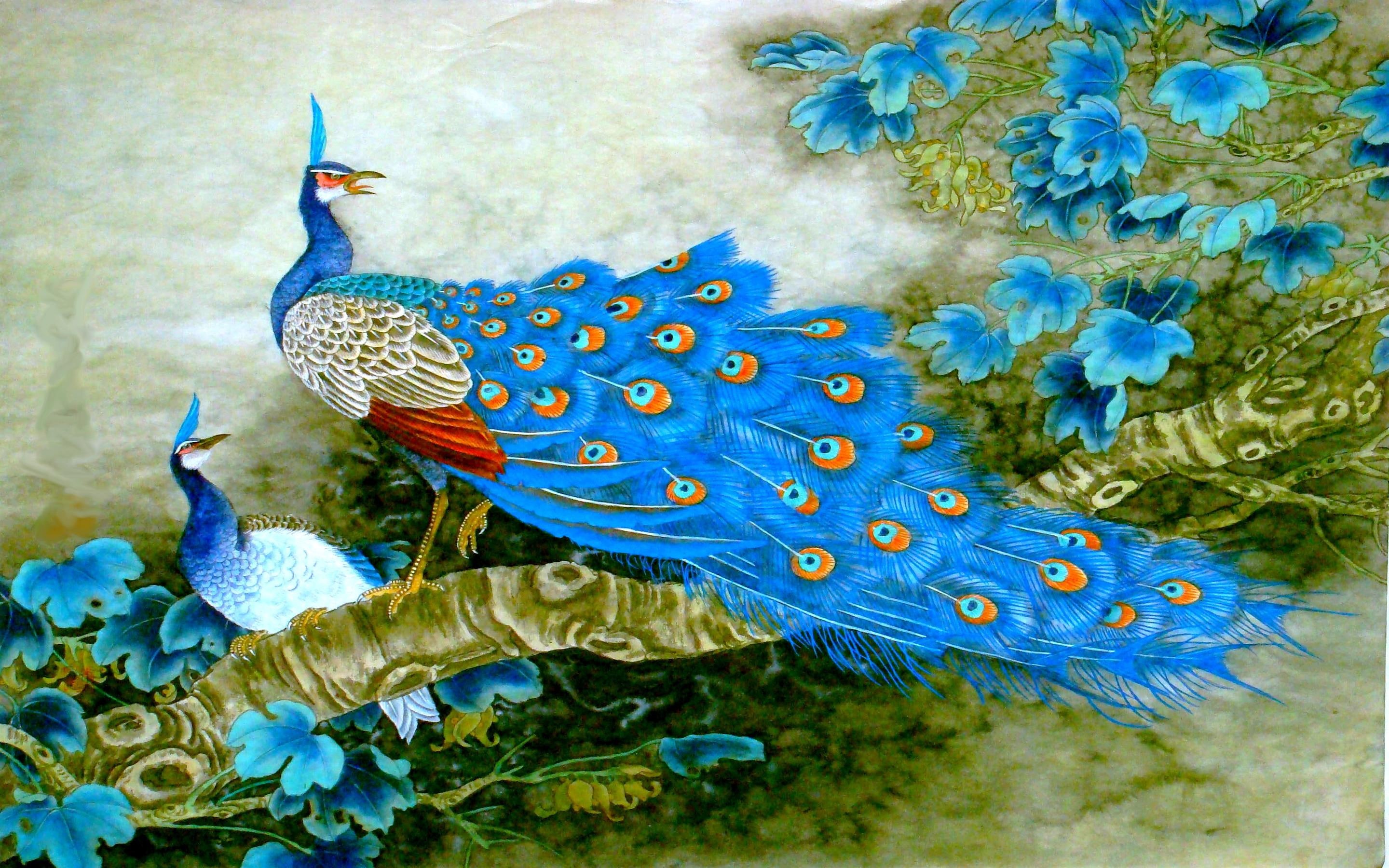 divine, blue, peacock, feathers, couple-art, 2K, peahen, birds, HD Wallpaper
