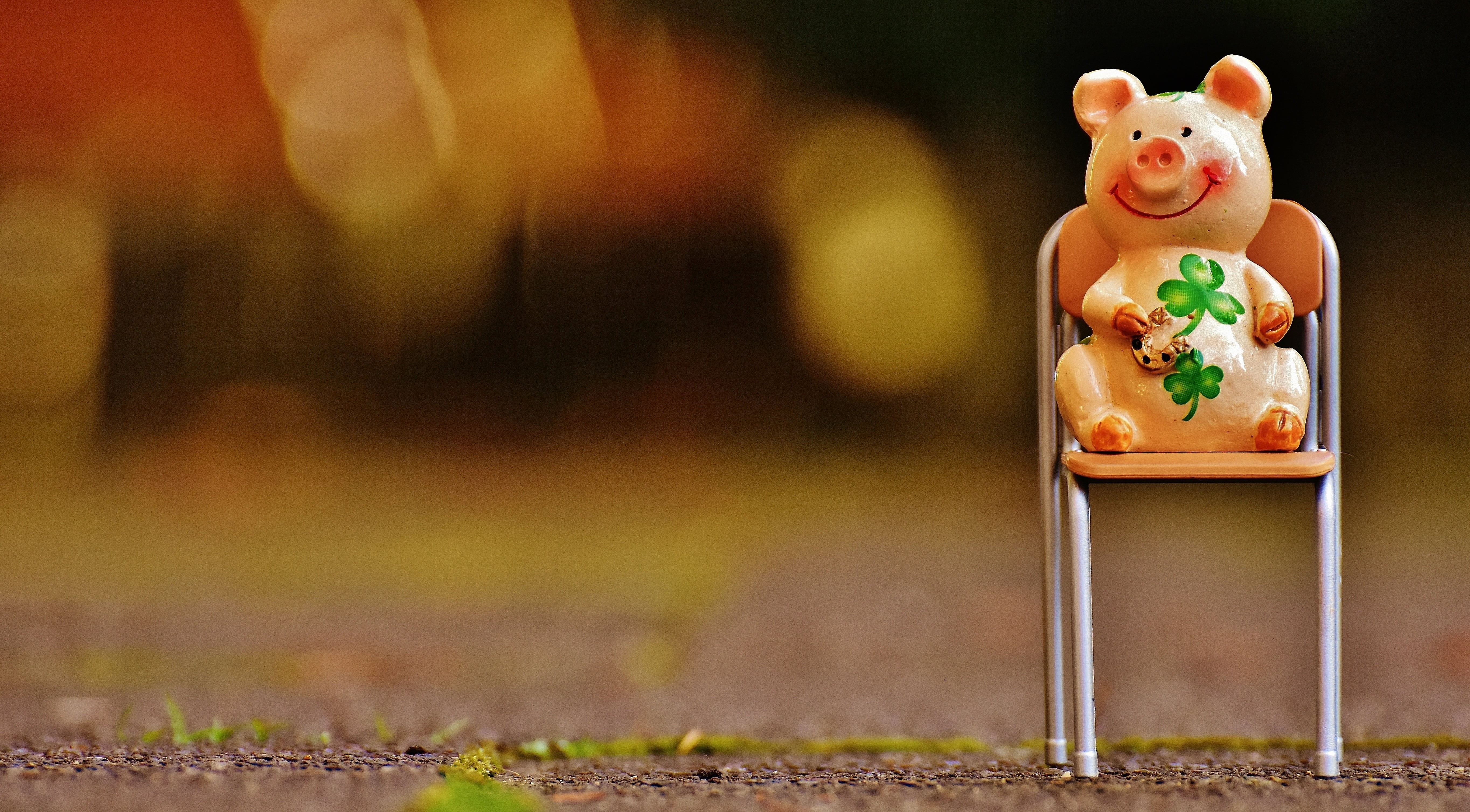 pink, focus on foreground, sit, human representation, new years day, figure, clover, animal, four leaf clover, figurine, mammal, wishes, stuffed toy, small, HD Wallpaper