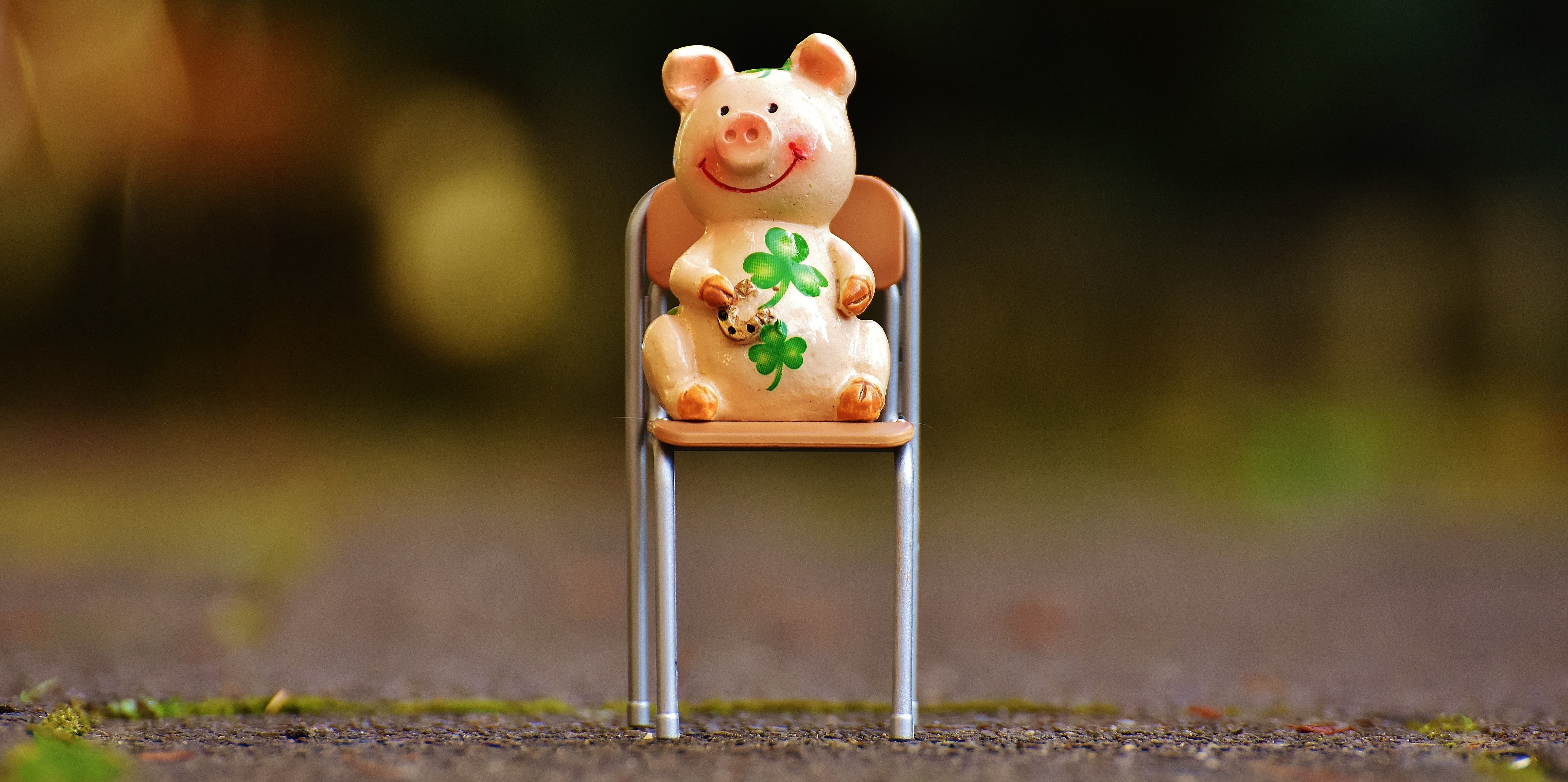 sitting, day, piggy Bank, seat, shamrocks, sit, one animal, figure, nature, domestic animals, four leaf clover, pig, single object, coin Bank, lucky clover, HD Wallpaper