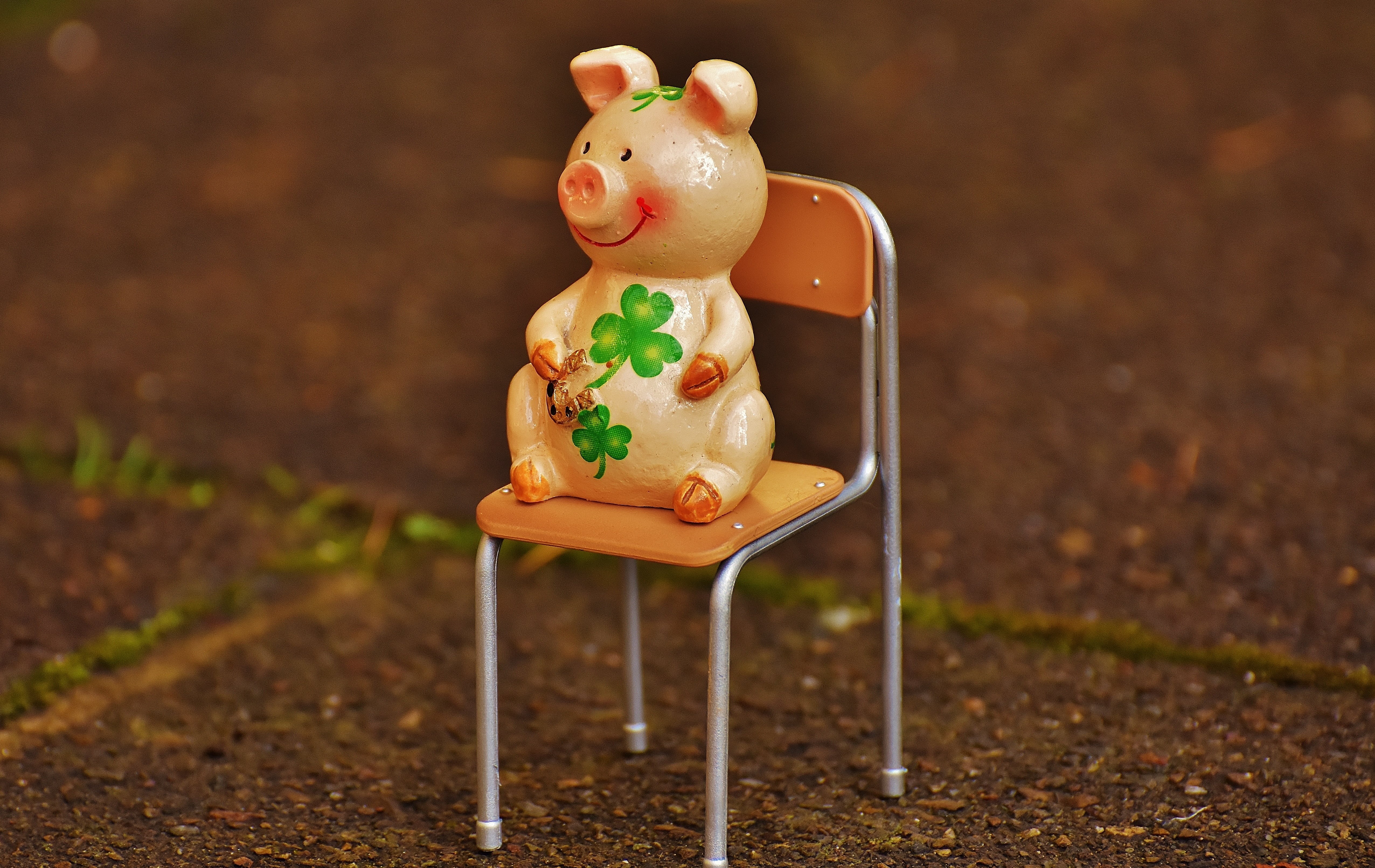 new years eve, cute, still life, human representation, representation, shamrocks, toy, green, nature, luck, figurine, 4K, new year, healthy eating, clover, HD Wallpaper