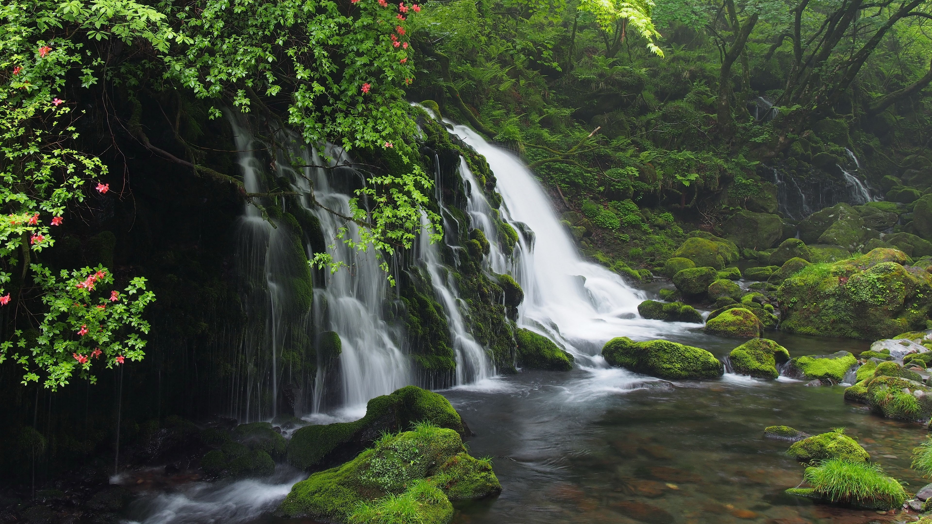beauty in nature, latest new  nature scene 3840x2160, rainforest, nature, motion, flowing, blurred motion, falling water, scenics - nature, rock - object, HD Wallpaper