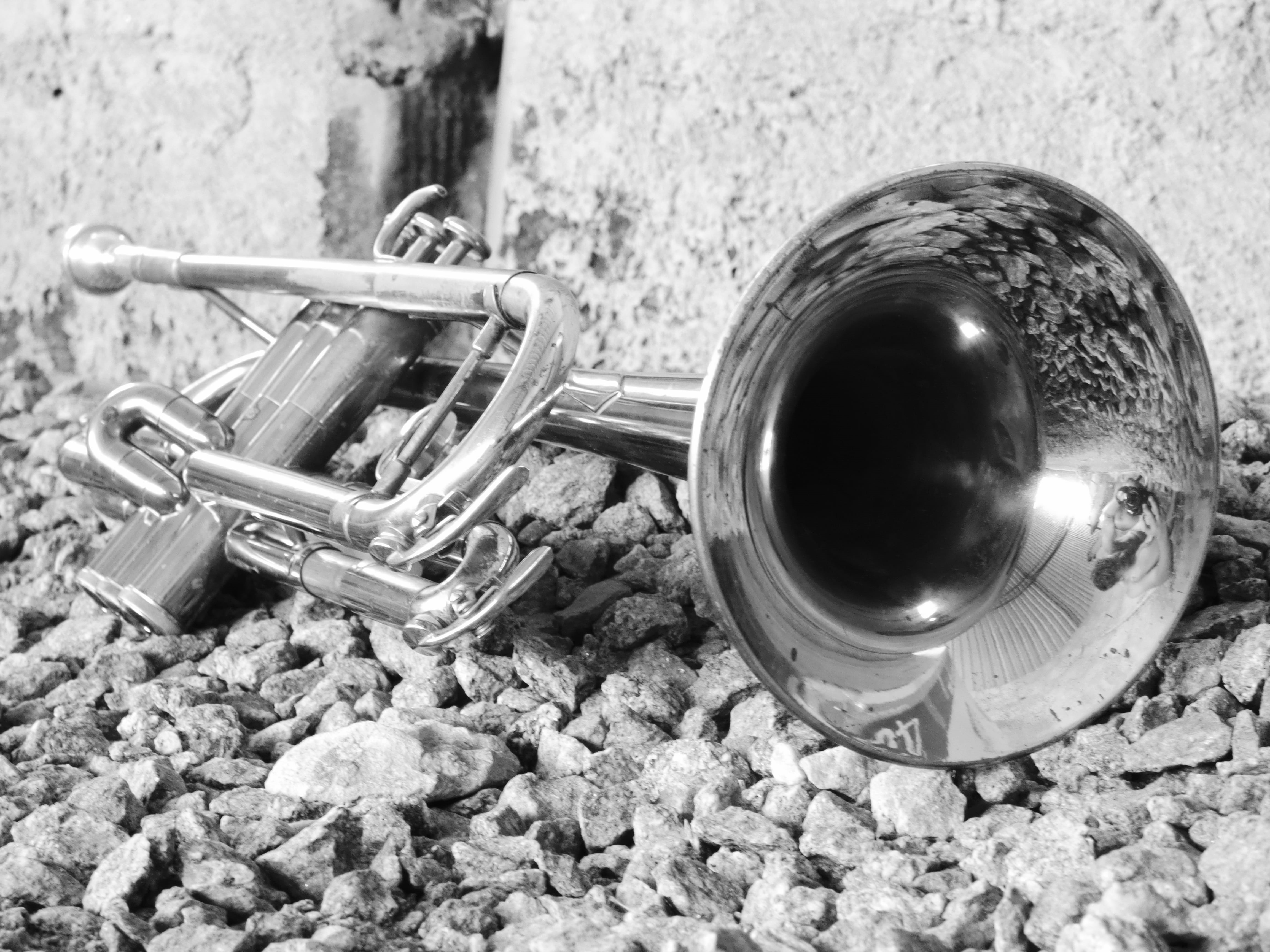 no people, nature, outdoors, 4K, wind instrument, silver colored, instrument, musical equipment, black and white, equipment, grayscale, stone - object, HD Wallpaper