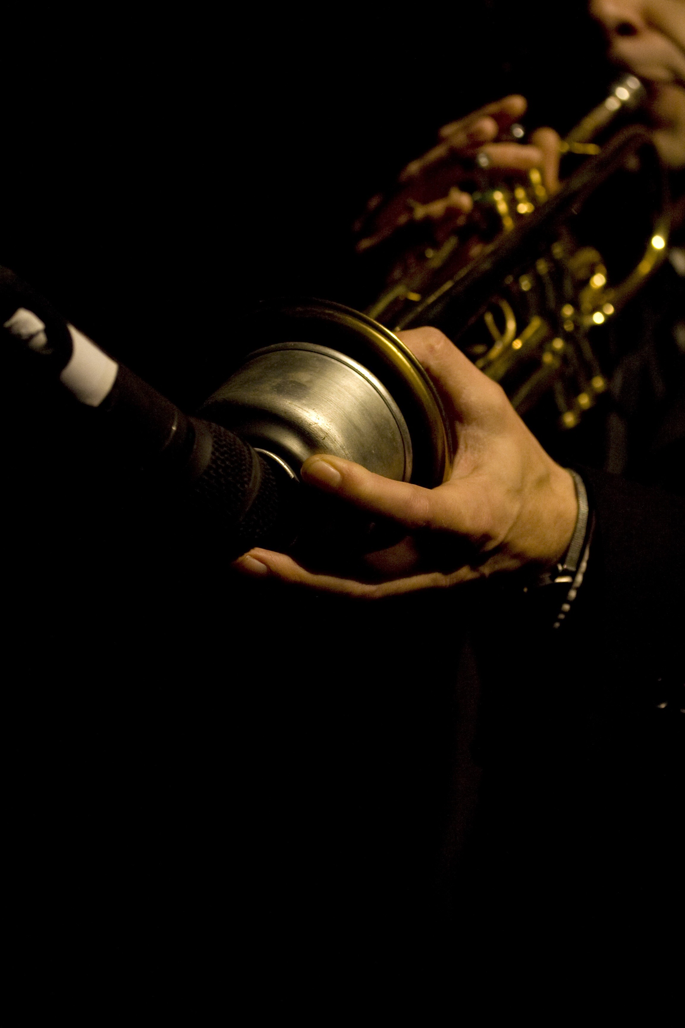 performance, one person, indoors, jazz, human body part, real people, music, artist, arts culture and entertainment, finger, men, trumpet, musical instrument, Phone HD Wallpaper