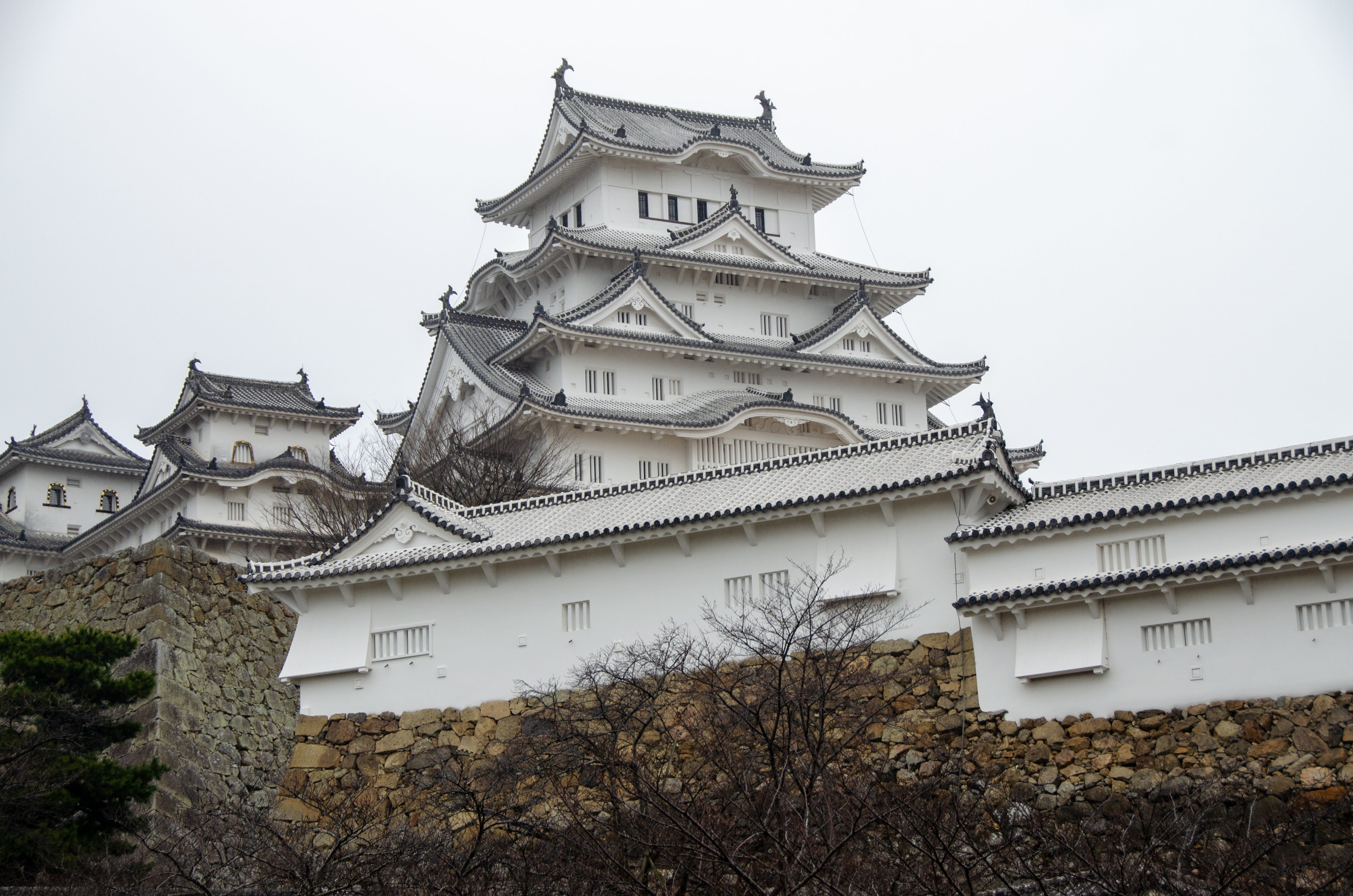 outdoors, japan, spire, no people, historic, travel destinations, himeji, place of worship, building exterior, famous, tree, himeji castle, history, white, HD Wallpaper