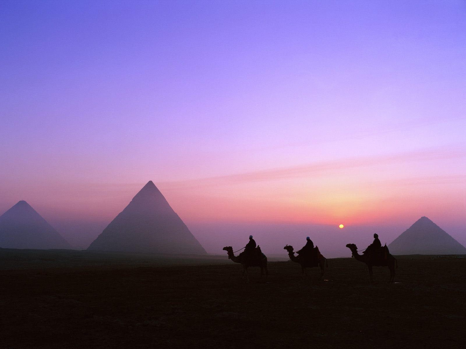 pyramids, egypt, silhouette, hd, nature, 720P, sunset, camels, HD Wallpaper