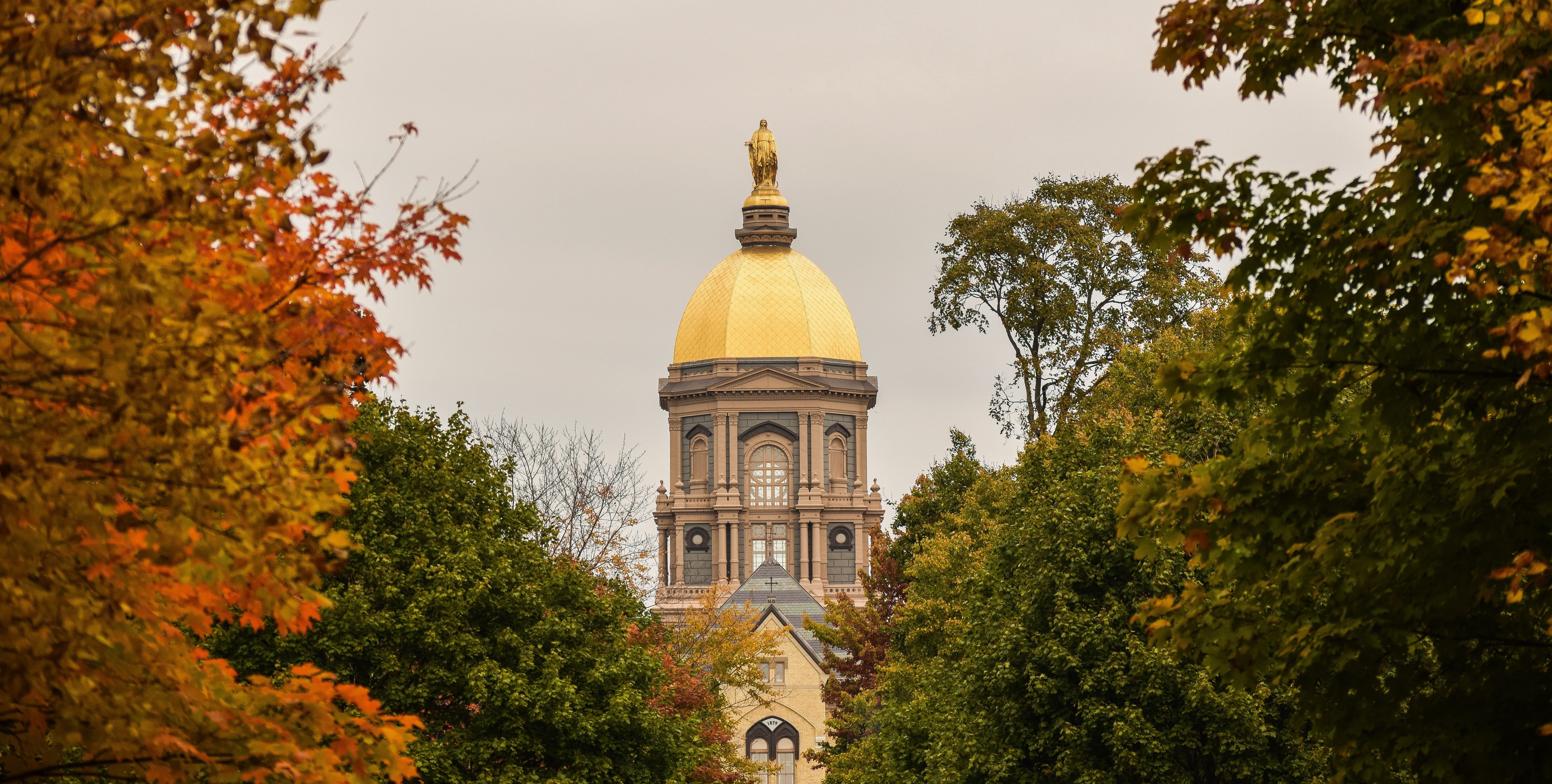 growth, autumn, day, low angle view, tree, building exterior, scenery, place of worship, sky, nature, change, architecture, orange color, no people, university of notre dame, HD Wallpaper