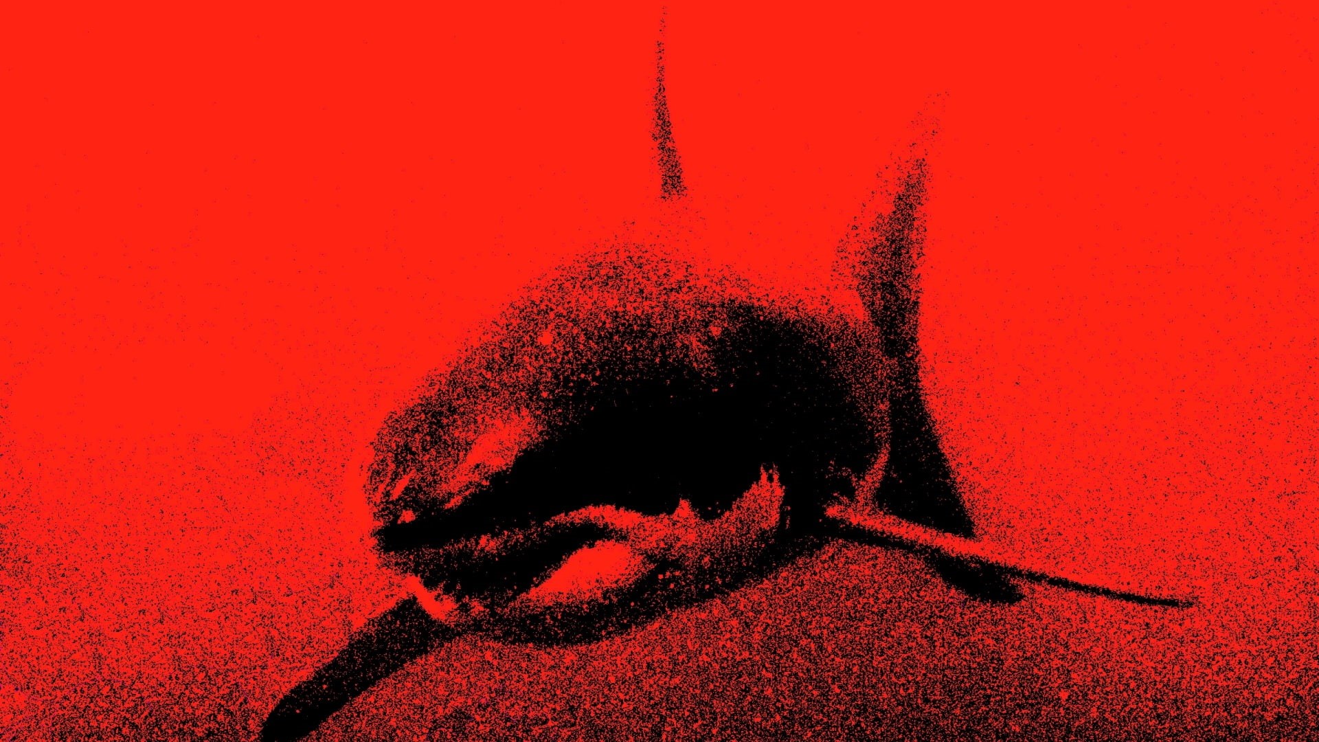 red, hd, animals, great, fish, shark, white, 1080P, HD Wallpaper