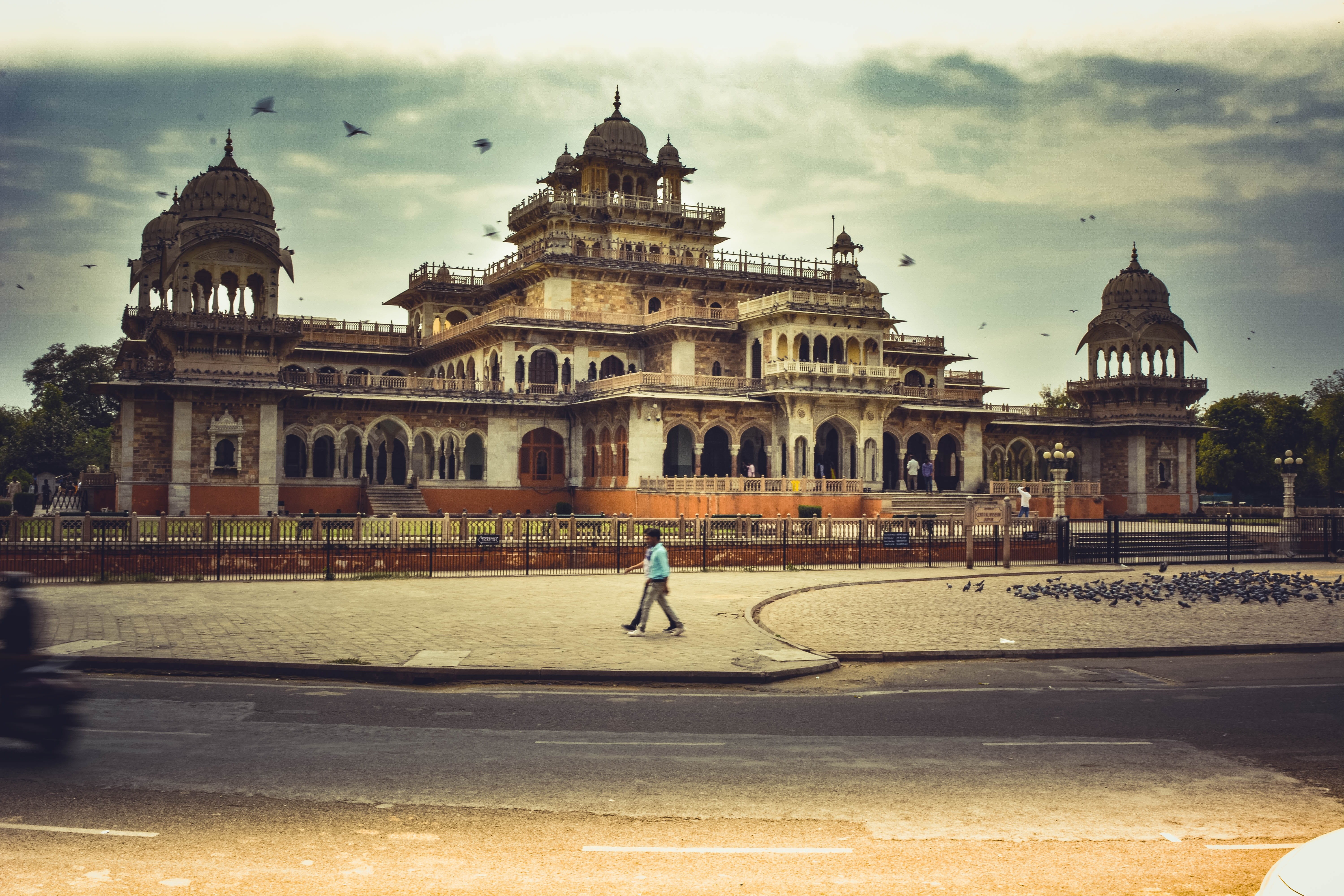 tourism, design, one person, rajasthan, facade, jaipur, creativity, architecture site, monument, travel, garden, city, pigeon, cloud - sky, history, real people, HD Wallpaper