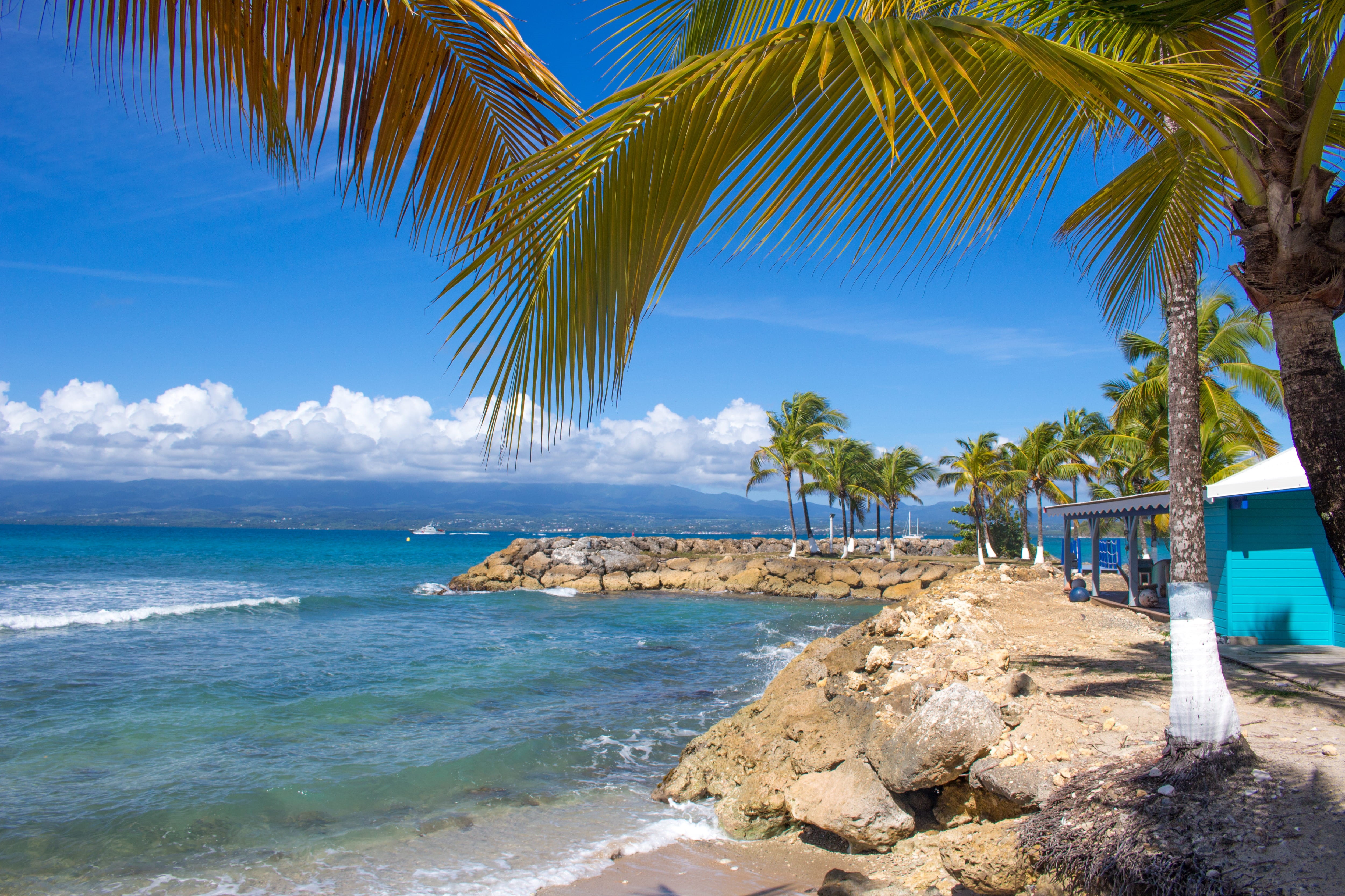 holidays, palm tree, beauty in nature, relax, horizon over water, tropical climate, cloud - sky, scenics - nature, idyllic, outdoors, plant, vacation, chill, HD Wallpaper