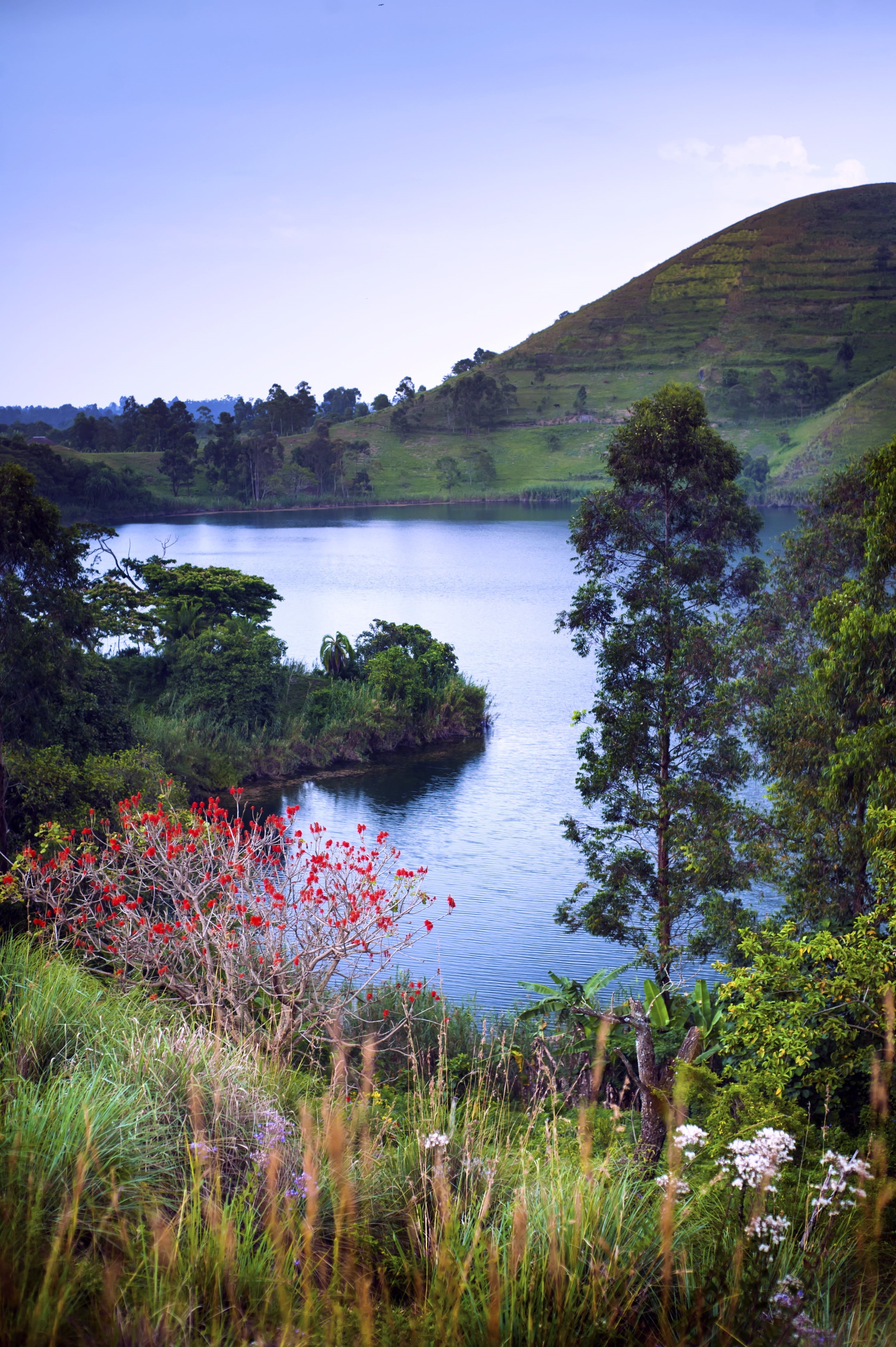 land, plant, fort portal, scenics, lake, green, no people, 4K, crater lake, foliage, reflection, scenics - nature, nature, outdoors, non-urban scene, idyllic, Phone HD Wallpaper