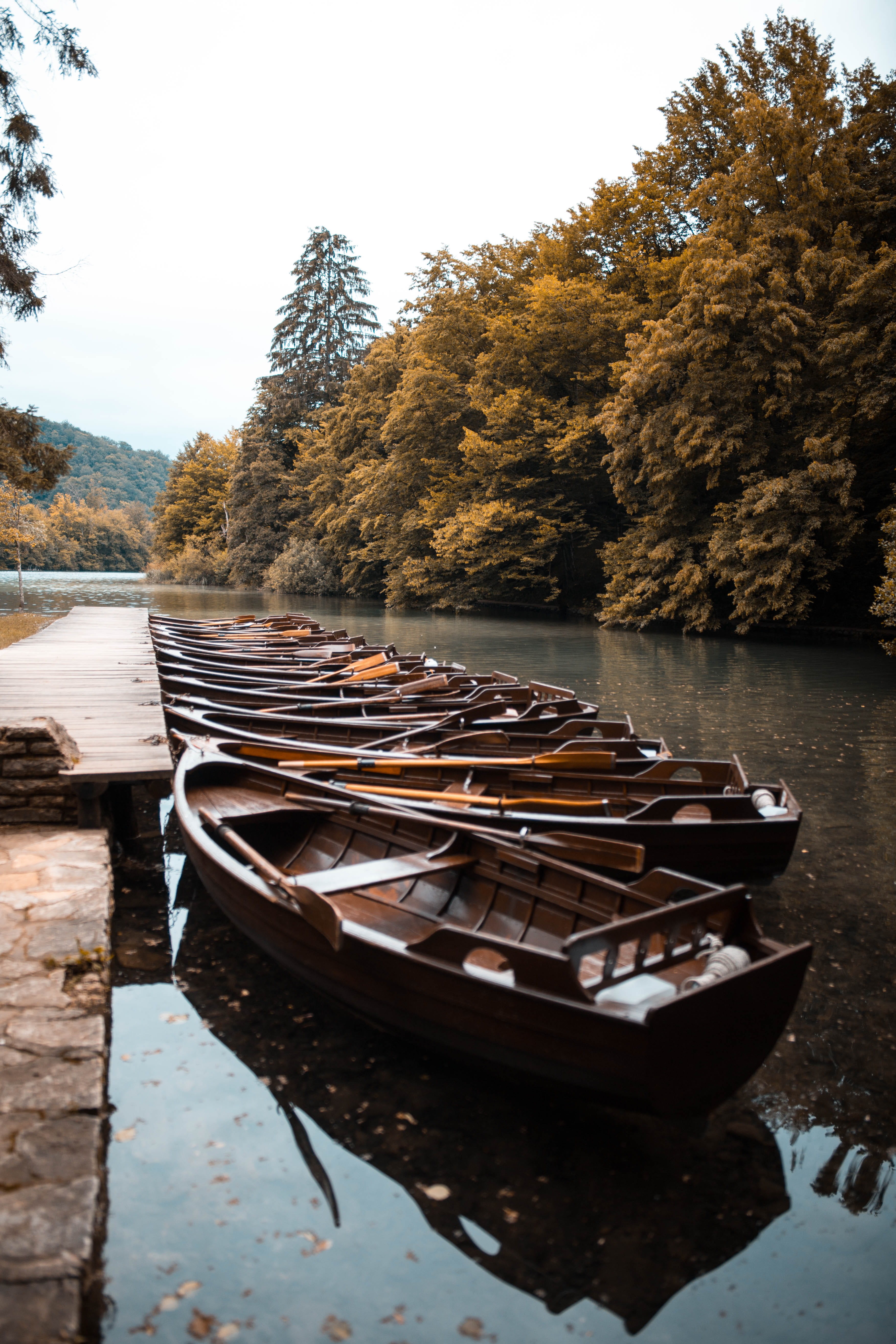 boat, beauty, nautical Vessel, soft, reflection, water, forrest, rural Scene, lake, cultures, beauty In Nature, river, rowboat, scenics, travel, brown, Phone HD Wallpaper