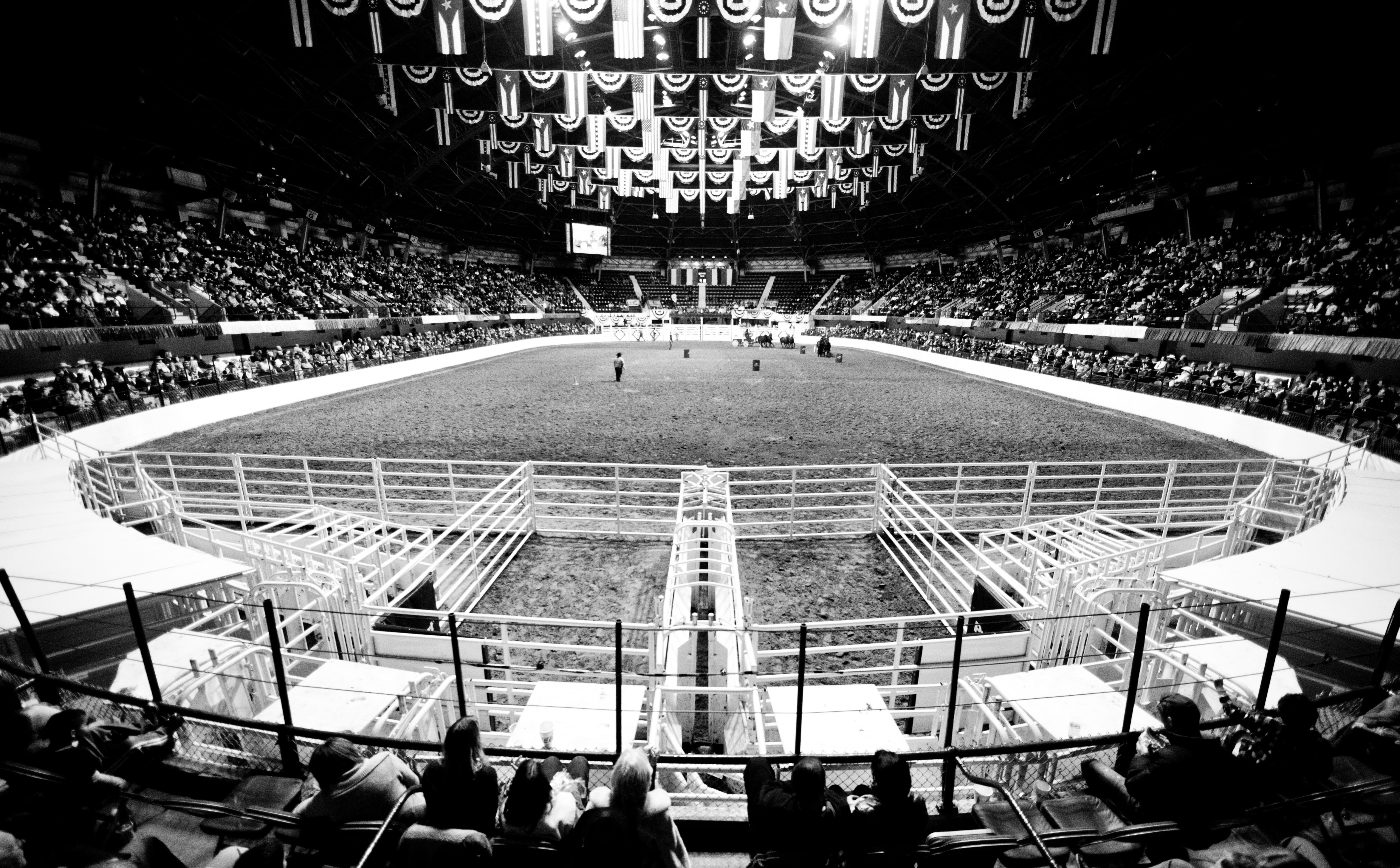 watching, spectator, amp, dmu dallas, day, leisure activity, Rodeo, built structure, Black and White, lifestyles, stock, fort, men, United States of America, HD Wallpaper
