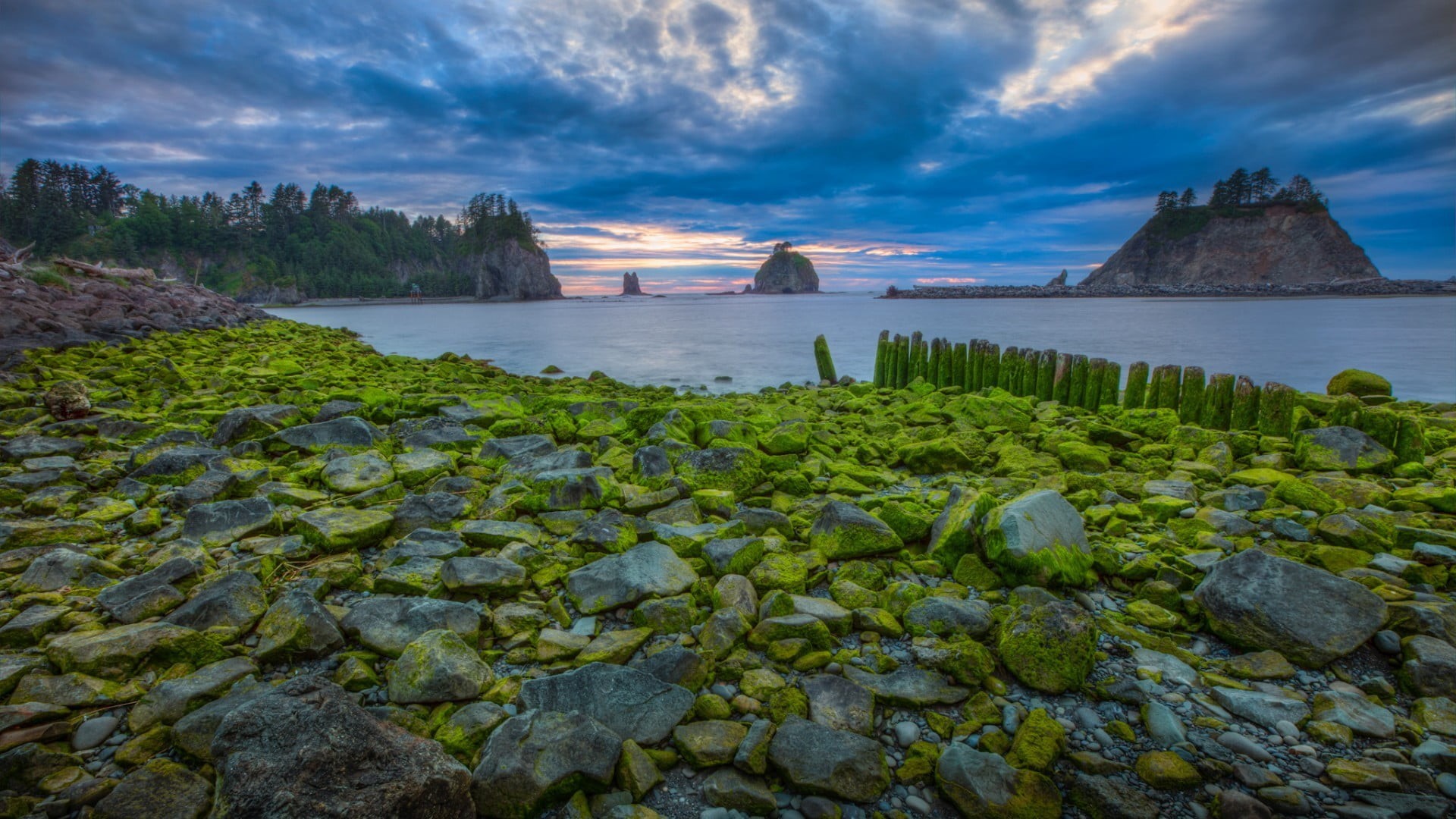 stone, day, sea, beach, USA, land, morning, beauty in nature, no people, moss, water, tranquil scene, forest, scenics - nature, clouds, sunset, stones, HD Wallpaper