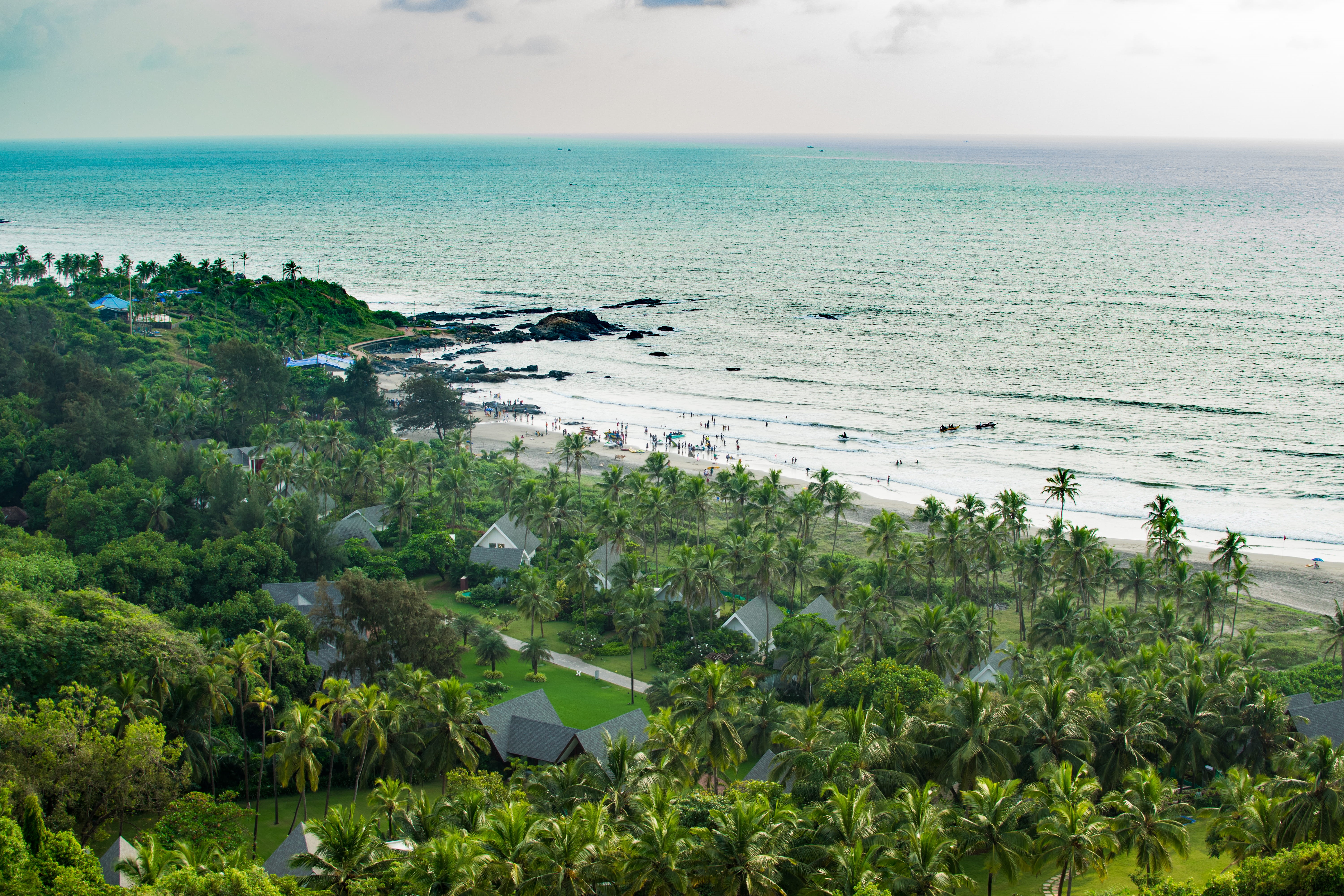 scenics - nature, beauty in nature, tree, tranquil scene, plant, outdoors, sea, tranquility, horizon over water, green color, chapora fort, horizon, high angle view, HD Wallpaper