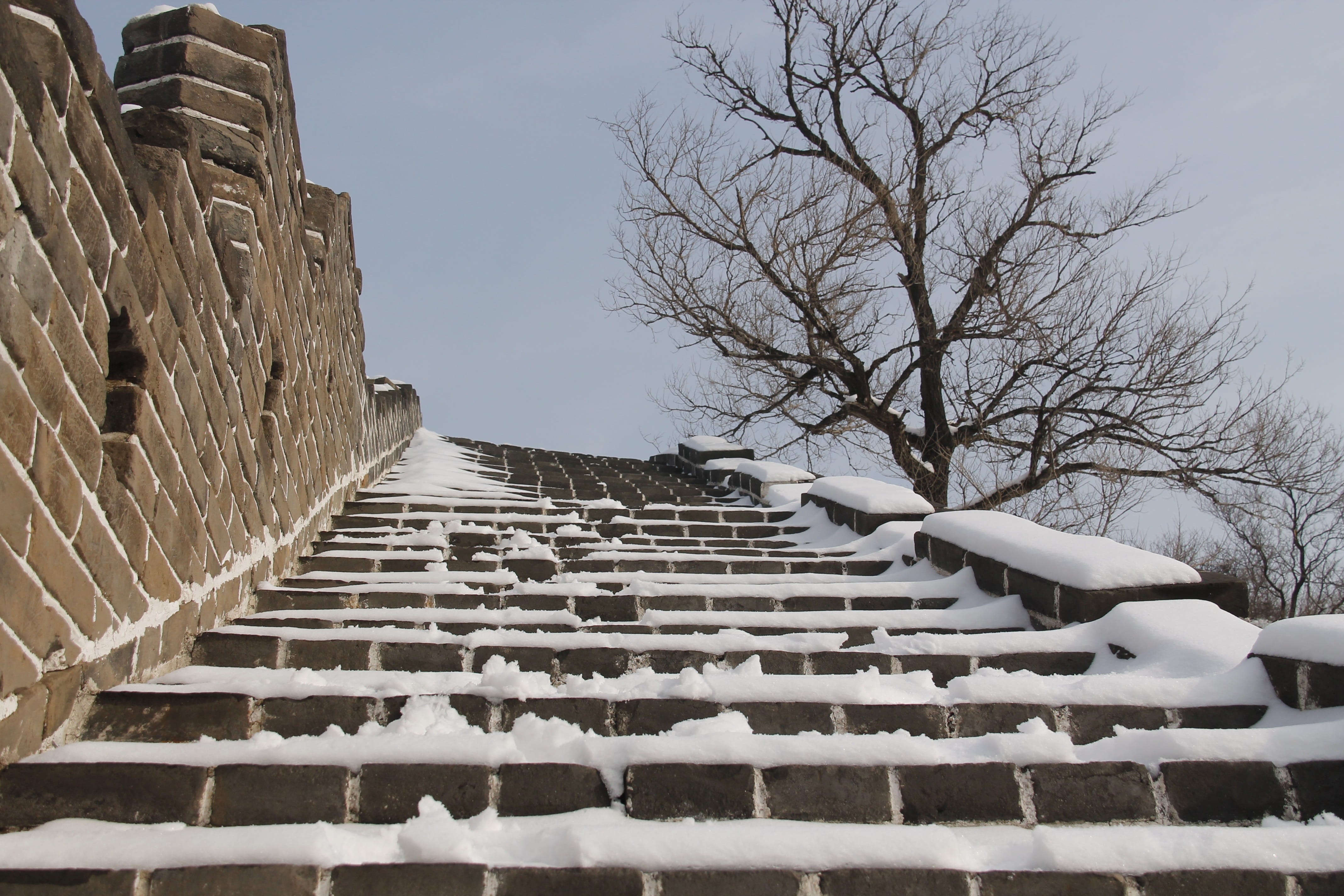 direction, tree, badaling great wall, cold temperature, bare tree, no people, steps and staircases, the great wall of china, sky, low angle view, the way forward, HD Wallpaper