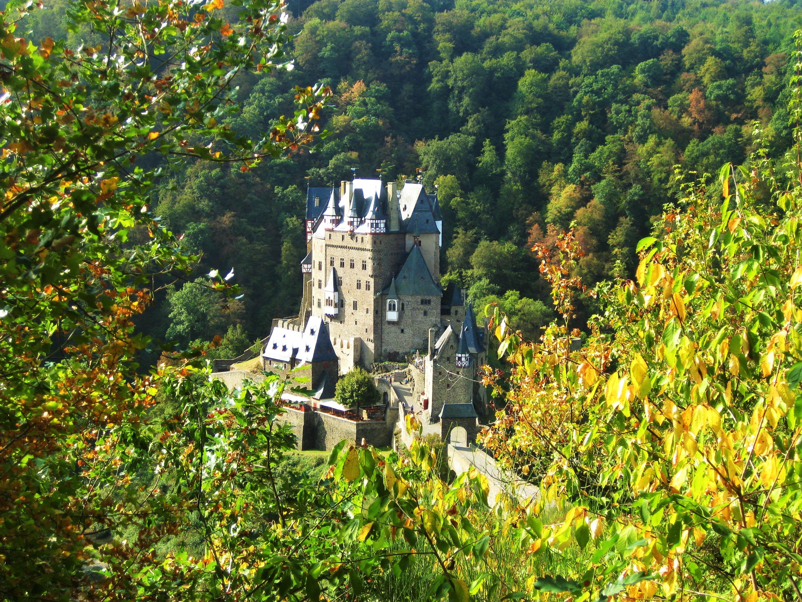 outdoors, green color, no people, building, travel destinations, high angle view, burg, Eltz, architecture, the past, Burg, tree, Medieval, building exterior, HD Wallpaper