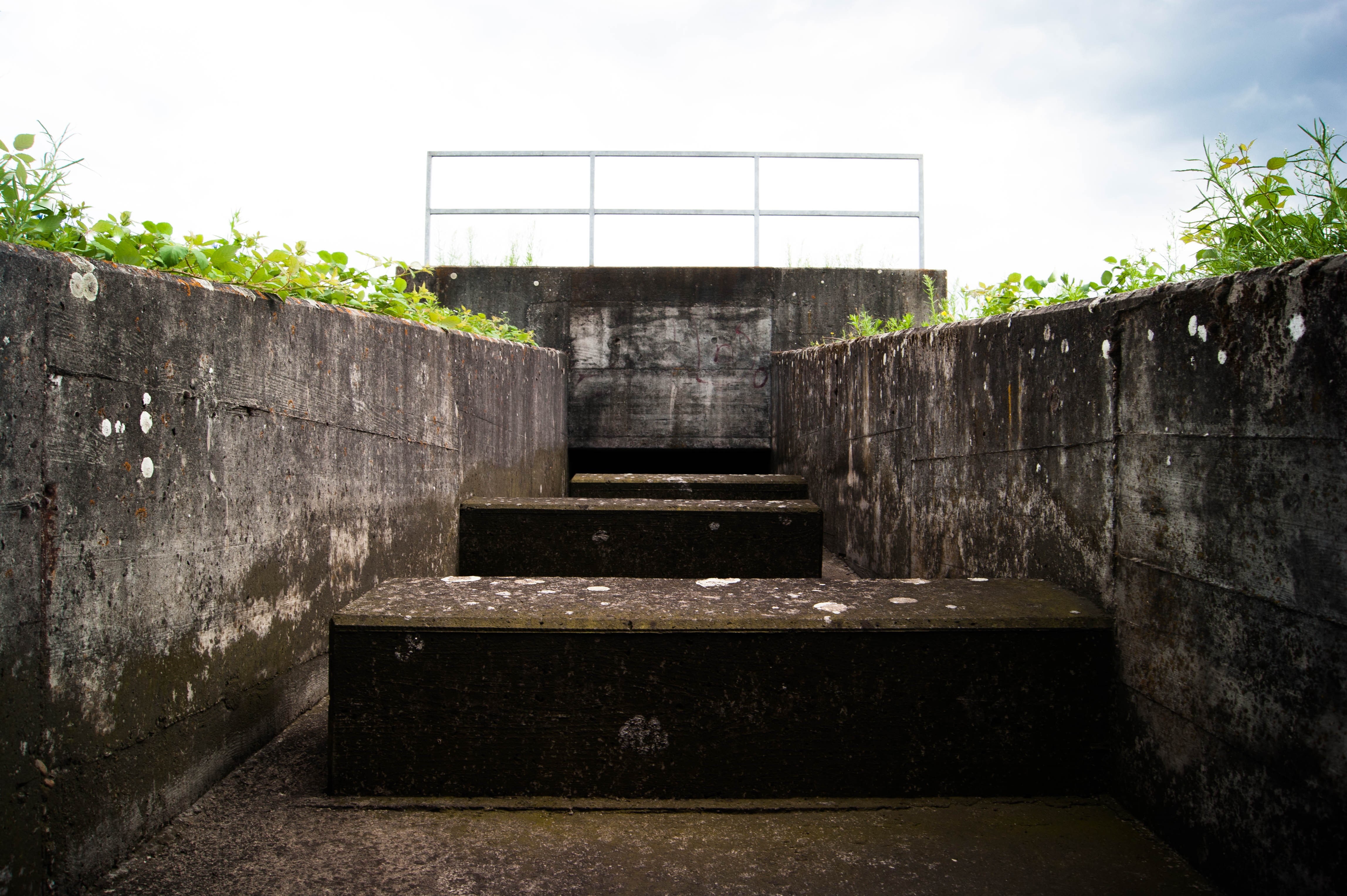 steps and staircases, staircase, plant, tunnel, tree, sky, stone material, building, dark, outdoors, concrete, nature, water, photography, day, architecture, HD Wallpaper