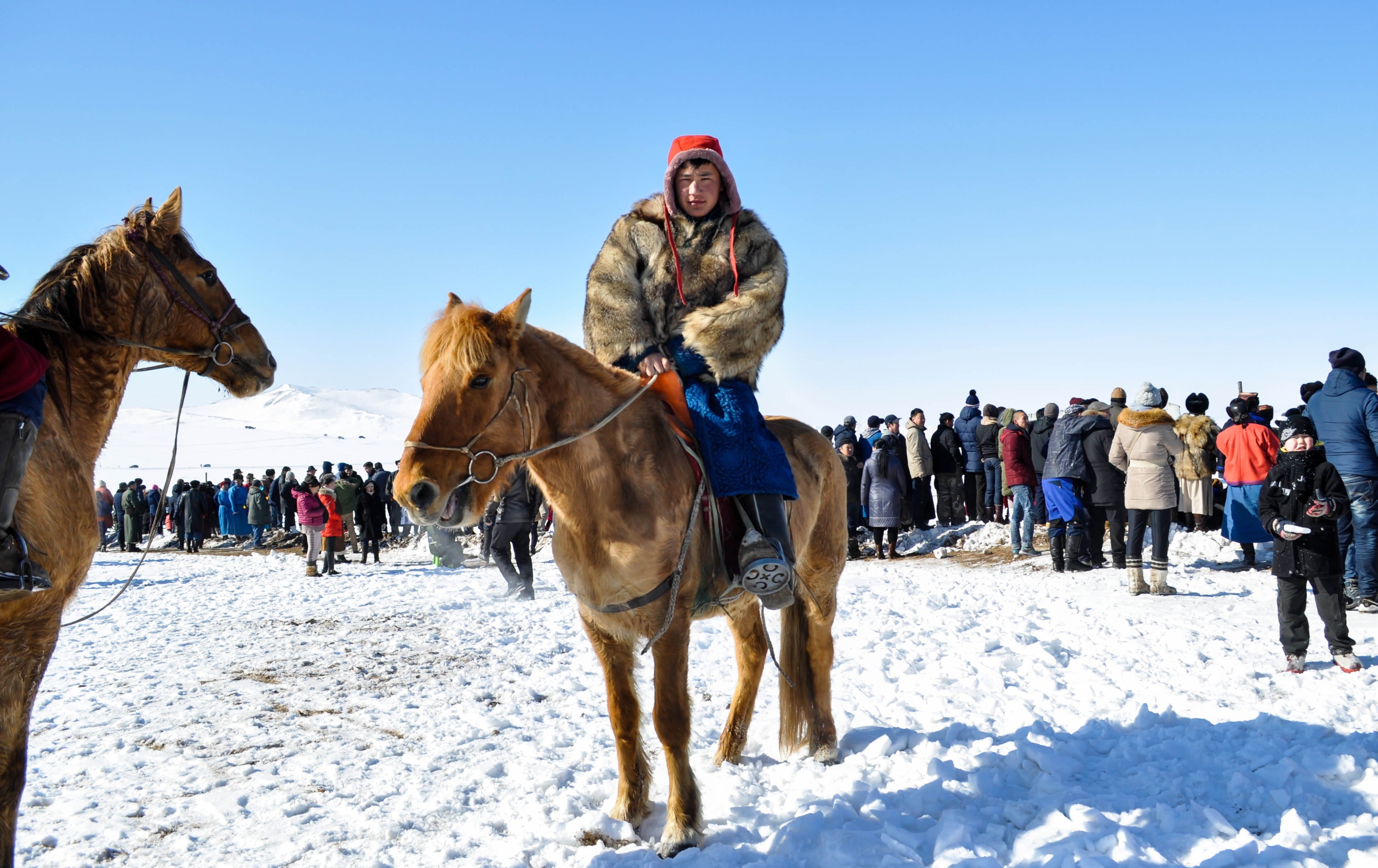 cold temperature, domestic, 4K, riding, men, people, group of people, independent, animal wildlife, traditional, livestock, mongolian, pets, asia, outdoors, HD Wallpaper