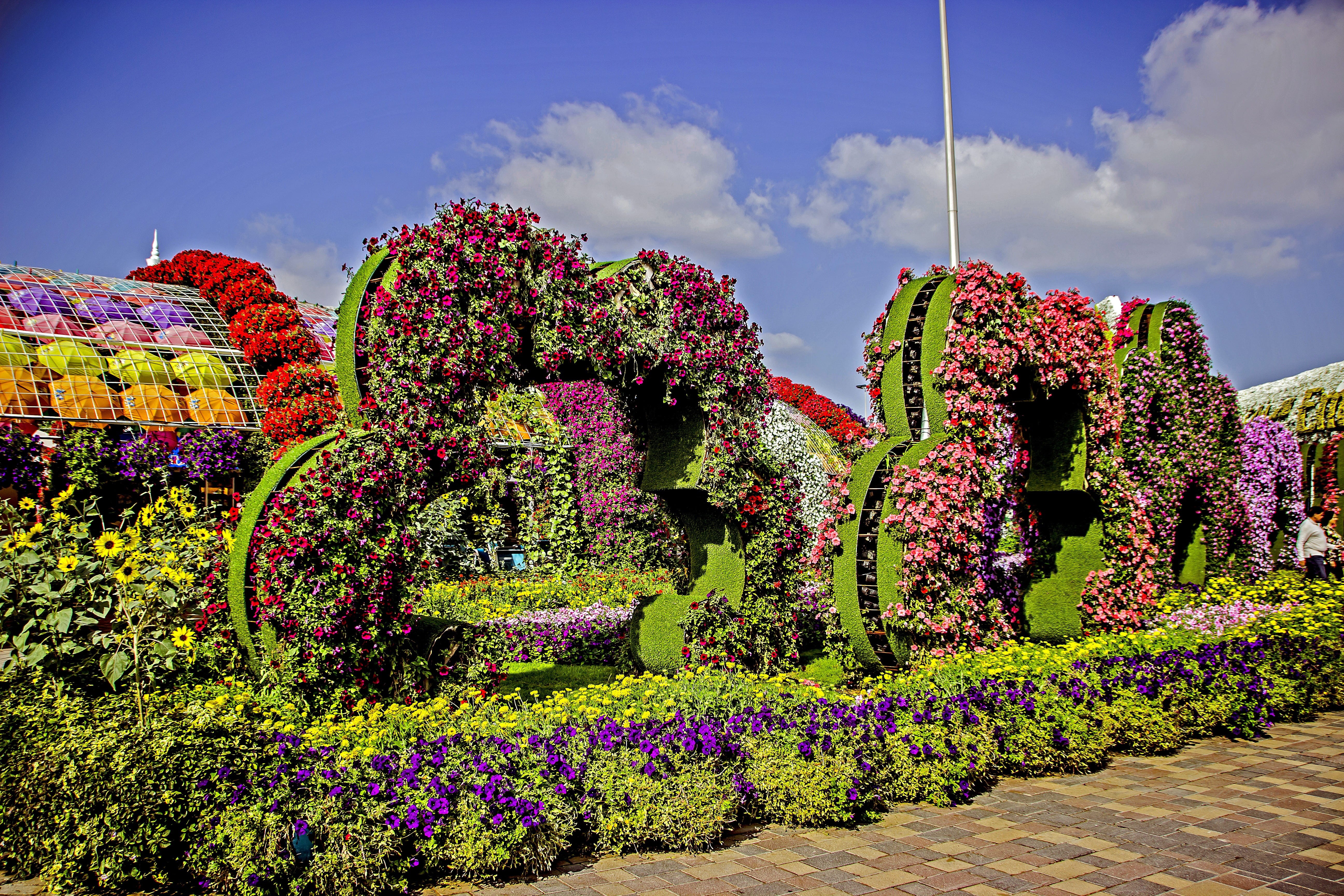 tranquility, tranquil scene, sky, no people, flower miracle park, flowerbed, 5K, flower garden, sunlight, hedge, outdoors, cloud - sky, flowering plant, HD Wallpaper