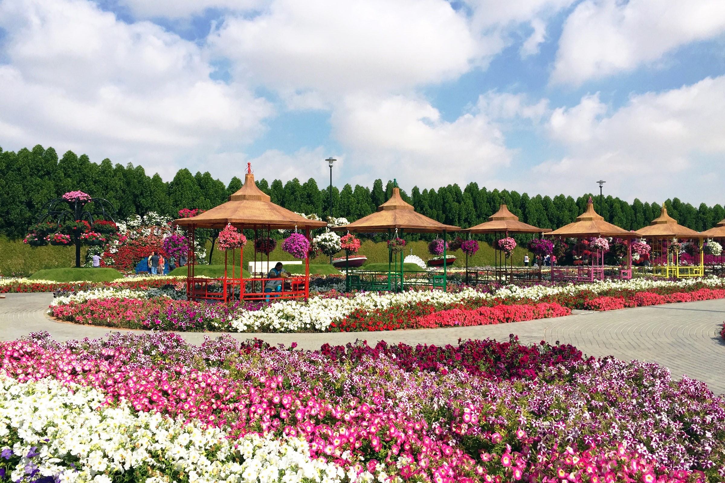 miracle, design, lawn, gardens, 1080P, dubai, garden, HD Wallpaper