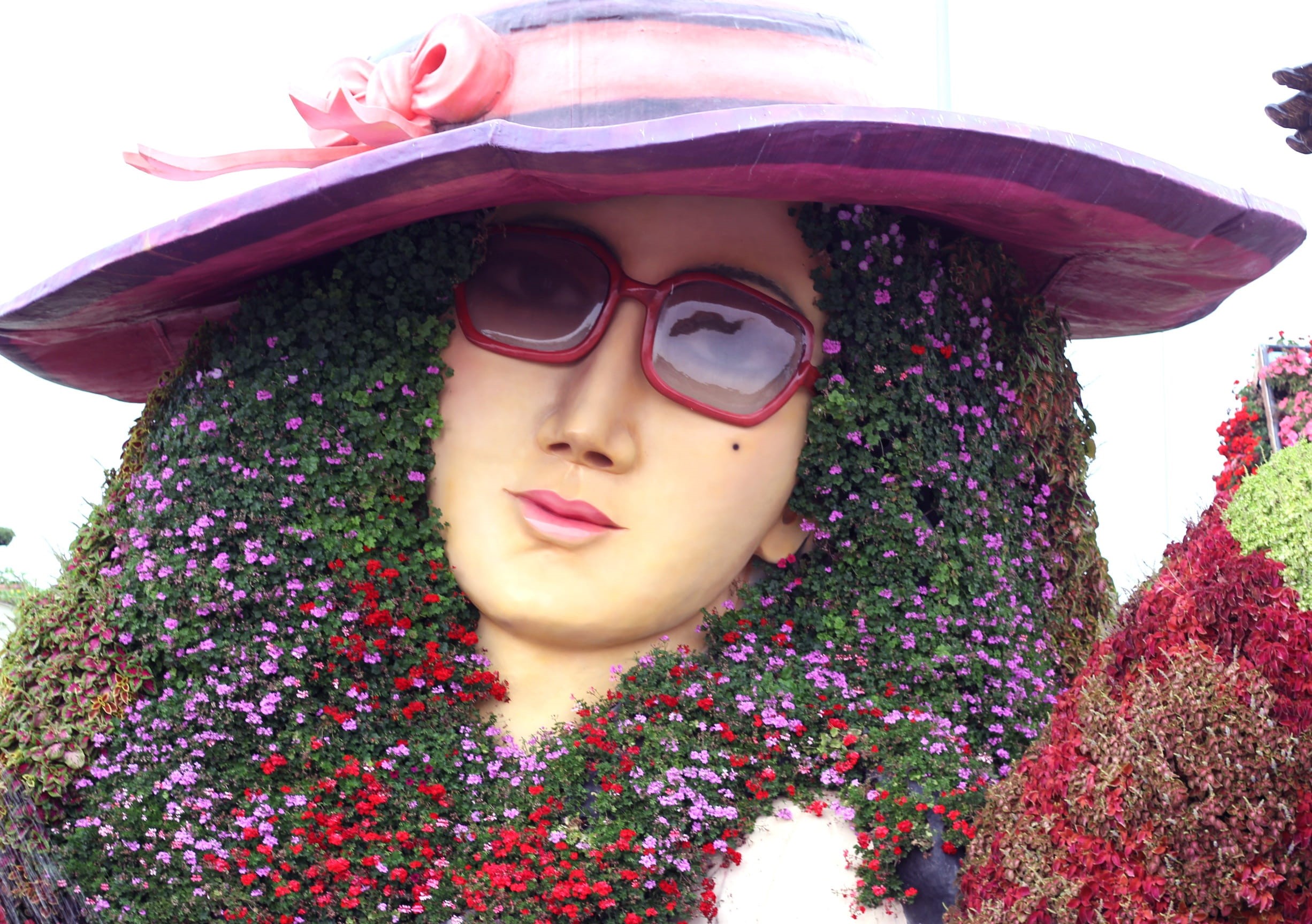 hat, floral, dubai, headshot, front view, only women, spring, nature, lifestyles, flowering plant, plant, looking at camera, landscape, beautiful woman, HD Wallpaper