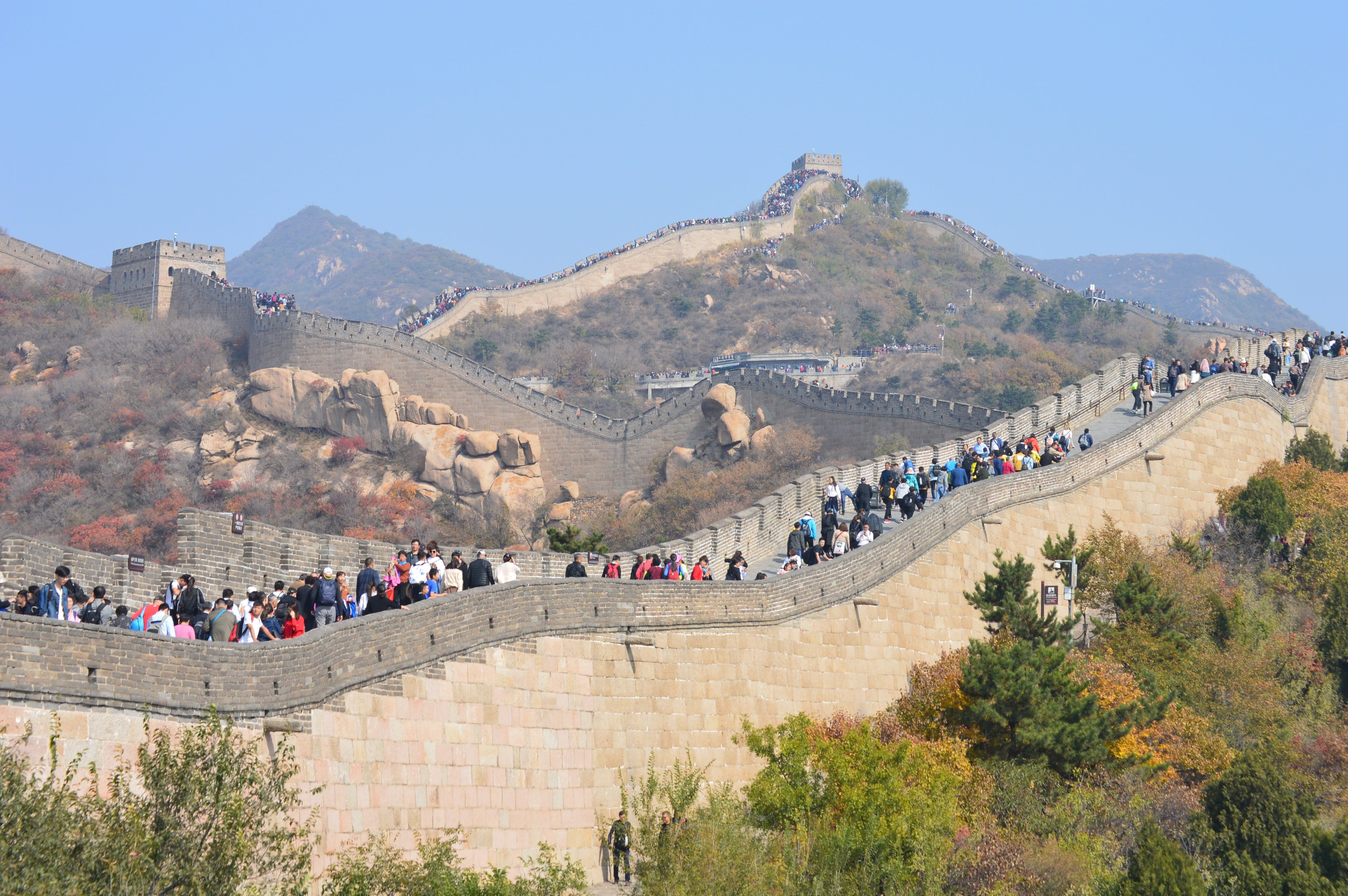 beijing, plant, scenics - nature, tourist, asia, landscape, nature, great wall, day, historically, chinese, famous, building, mountain range, mountain, HD Wallpaper