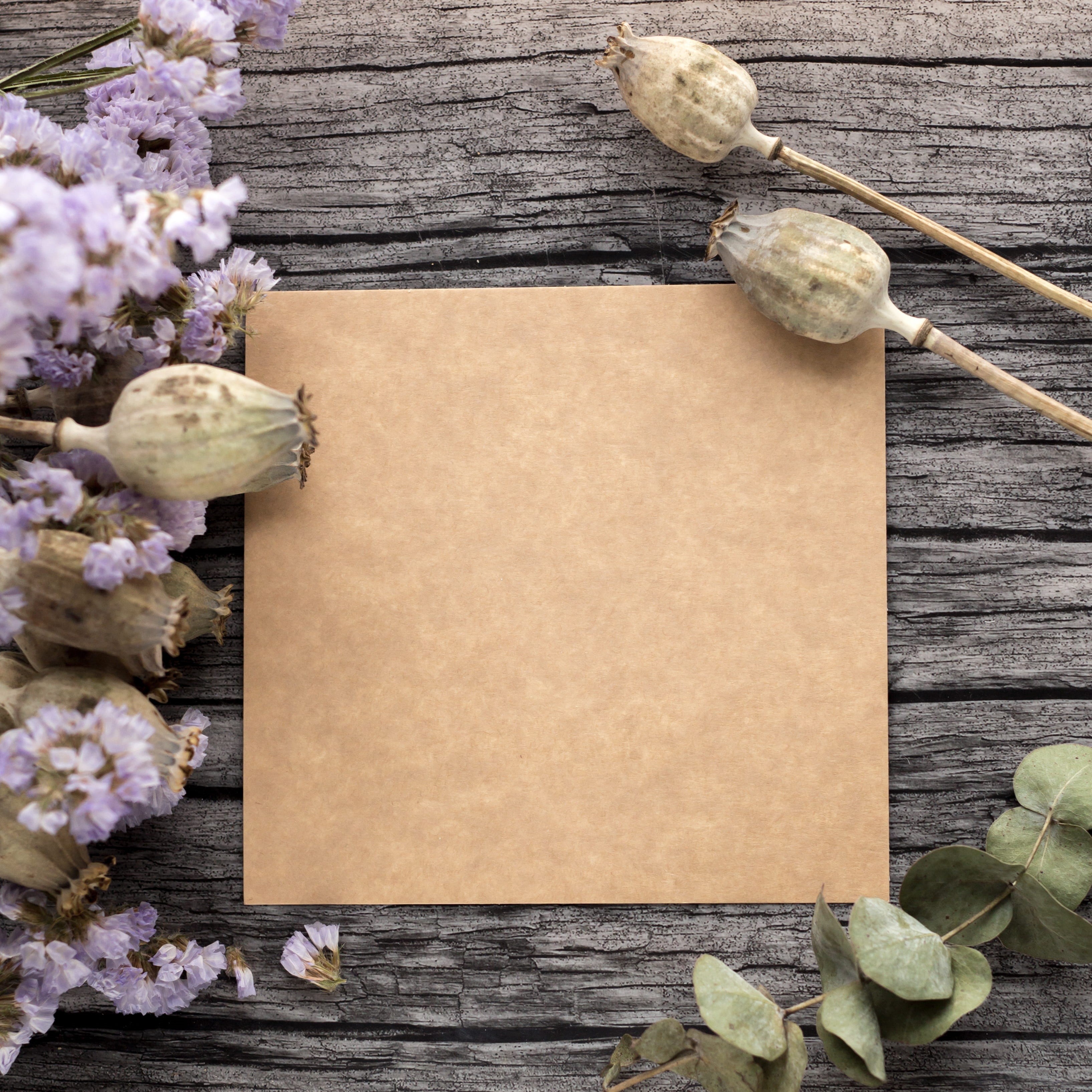 letter, flowering plant, element, directly above, postcard, petals, board, easy, desktop, indoors, bouquet, design, sheet, decorative, tag, flower, copy space, Phone HD Wallpaper