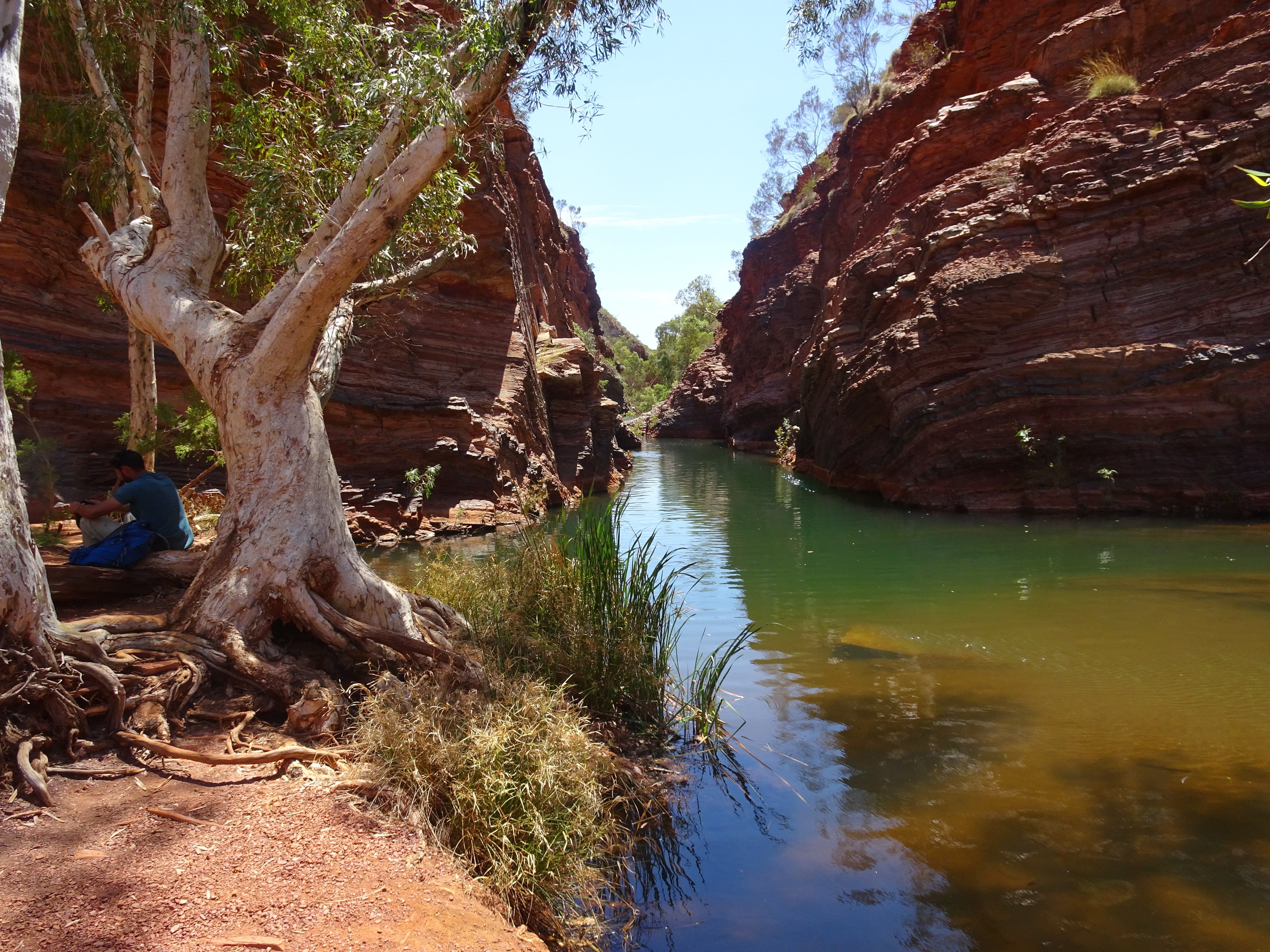 4K, australia, non-urban scene, scenics - nature, rock formation, tranquil scene, outback, karijini national park, western australia, men, day, tree, land, HD Wallpaper