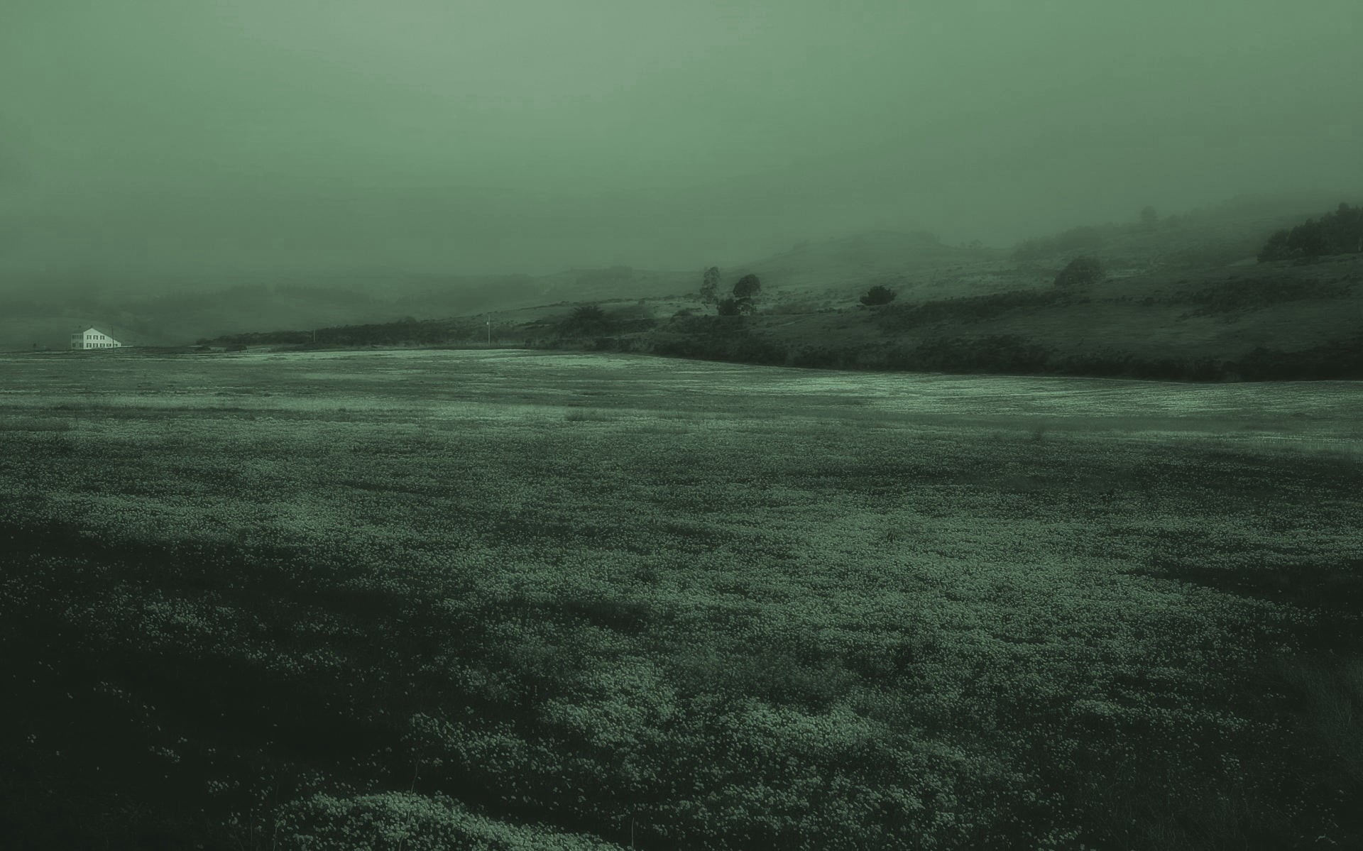 wooden, remote, field, environment, land, scenics - nature, bed, green, landscape, plant, fog, mattress, beauty in nature, water, no people, frame, 1080P, HD Wallpaper