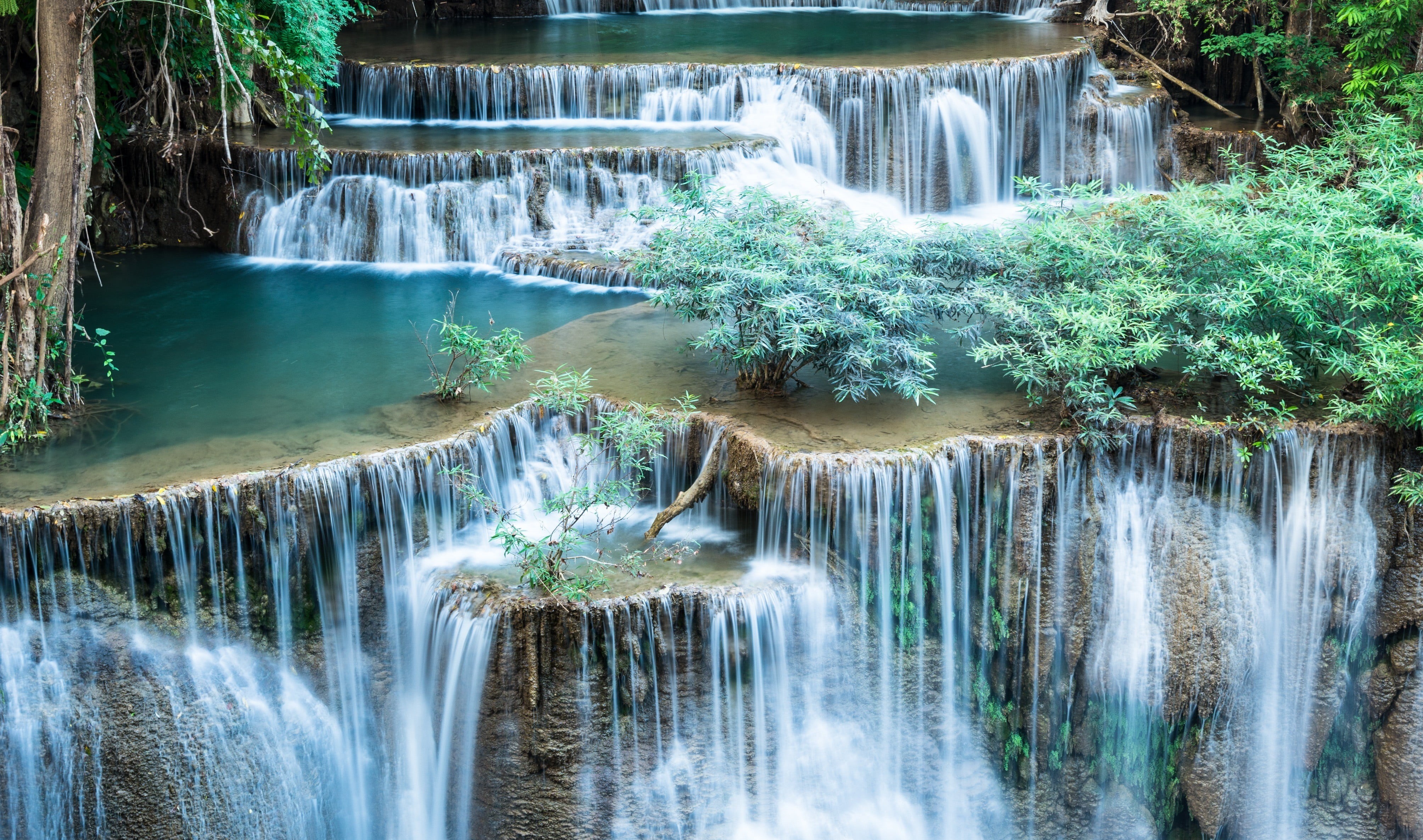 table, motion, flowing water, non-urban scene, rainforest, land, flowing, beauty in nature, forest, nature, tranquil scene, falling water, white, idyllic, HD Wallpaper