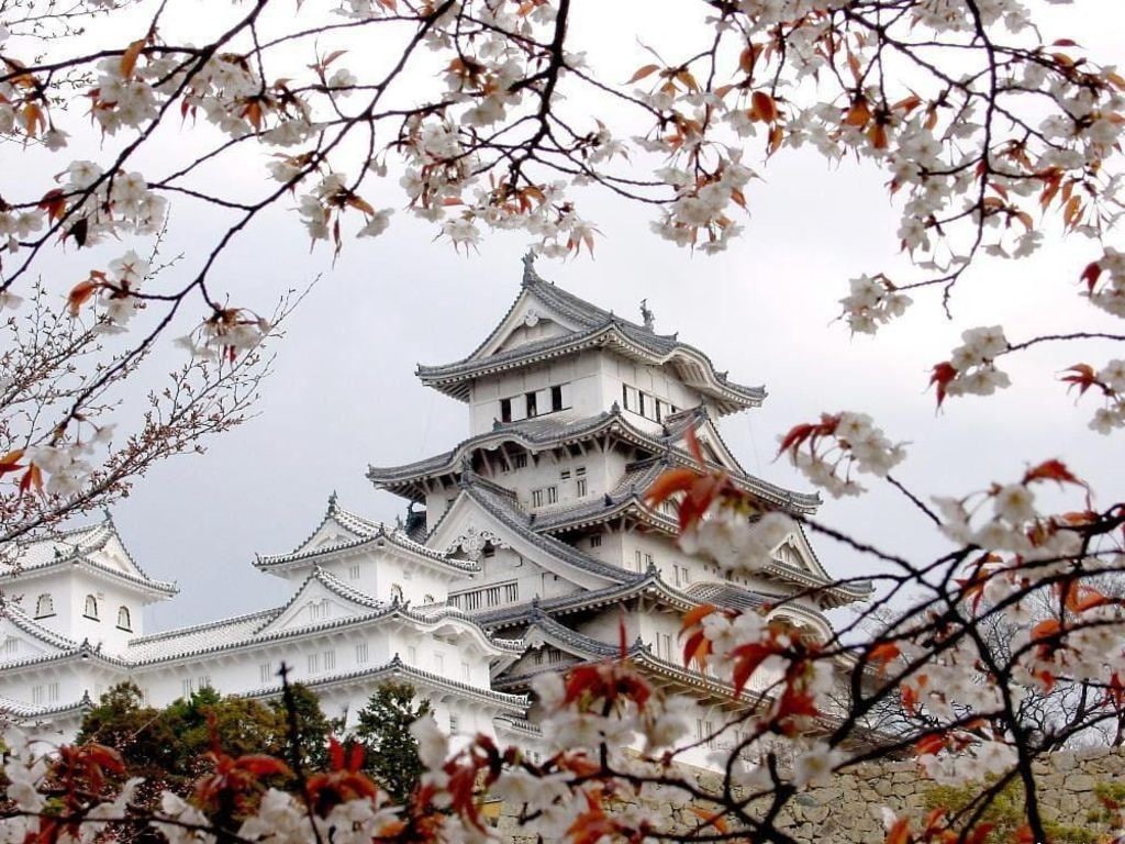 trees, branch, flowering plant, sky, building, 480P, low angle view, architecture, built structure, springtime, spirituality, place of worship, cherry tree, HD Wallpaper