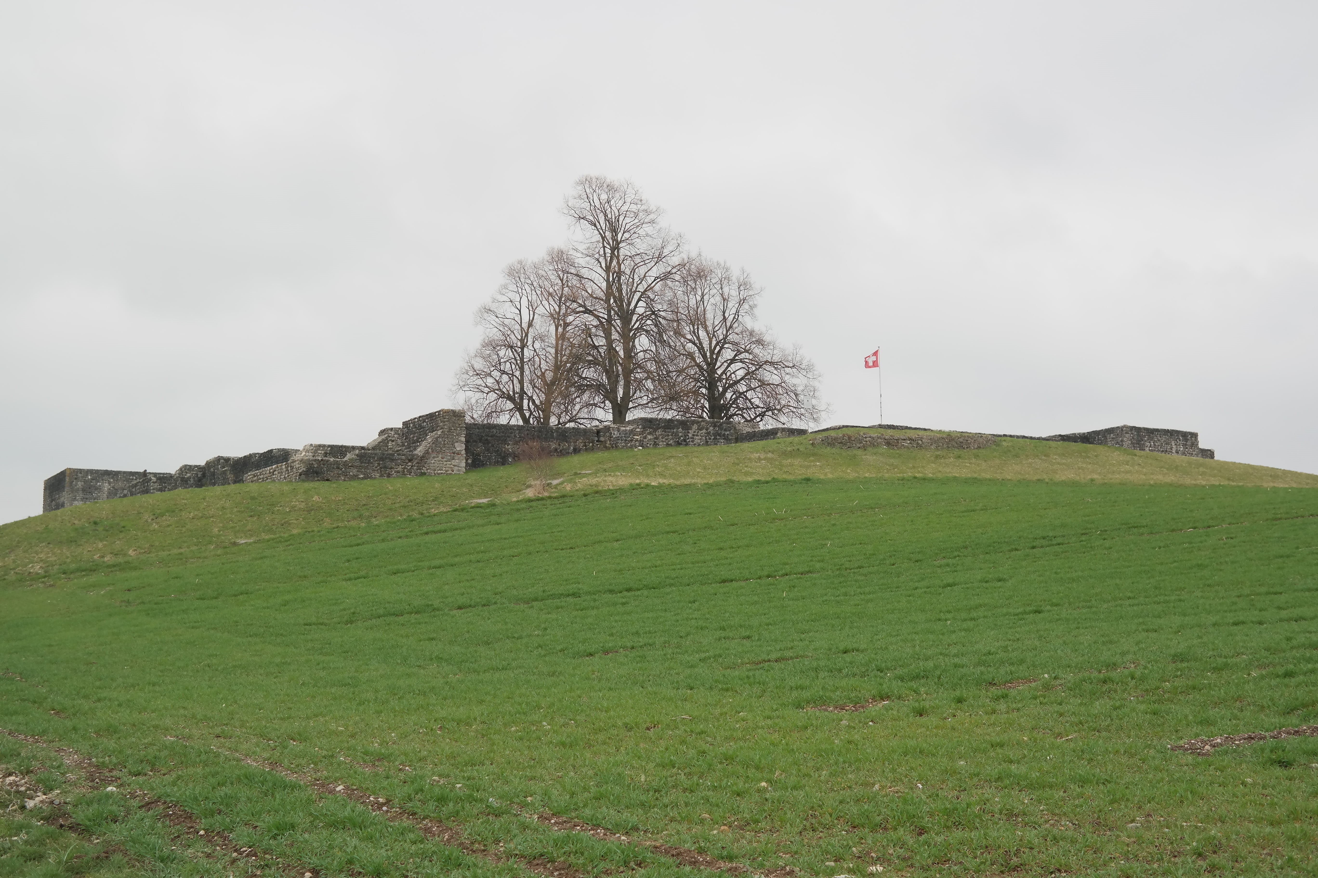 environment, romans, growth, grass, ruin, switzerland, history, donau-iller-rhine limes, tree, tranquil scene, no people, day, scenics - nature, field, HD Wallpaper