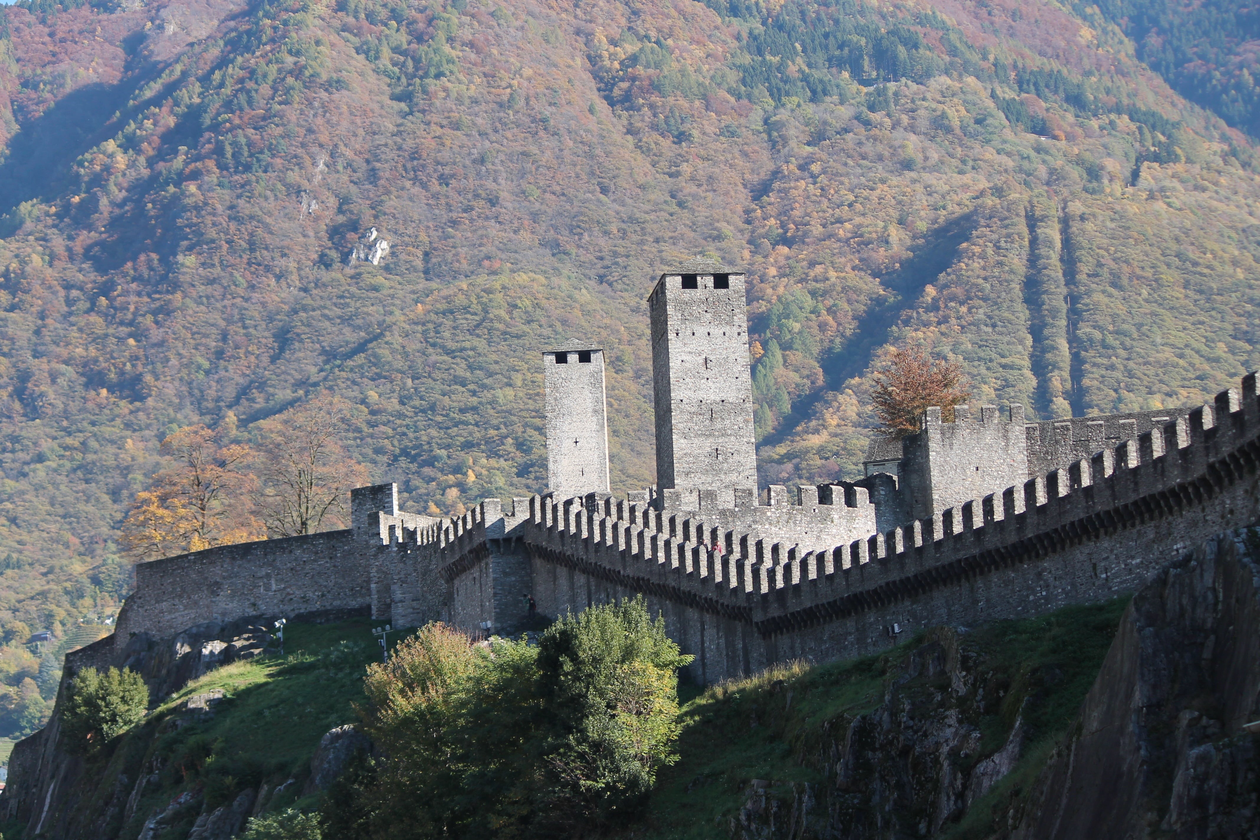 nature, the past, travel, castelgrande, bellinzona, built structure, architecture, plant, castle, building exterior, tree, mountain, switzerland, fort, HD Wallpaper