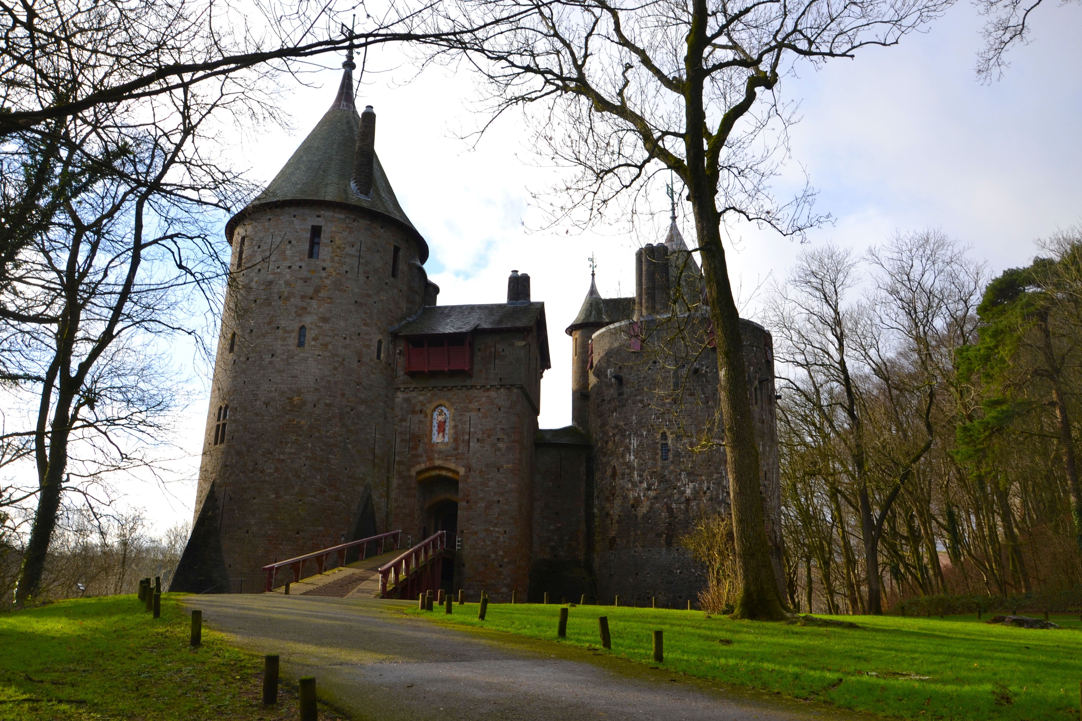 forest, grass, no people, plant, park, tree, sky, medieval, architecture, tourism, nature, building exterior, ancient, fortress, walls, place of worship, HD Wallpaper