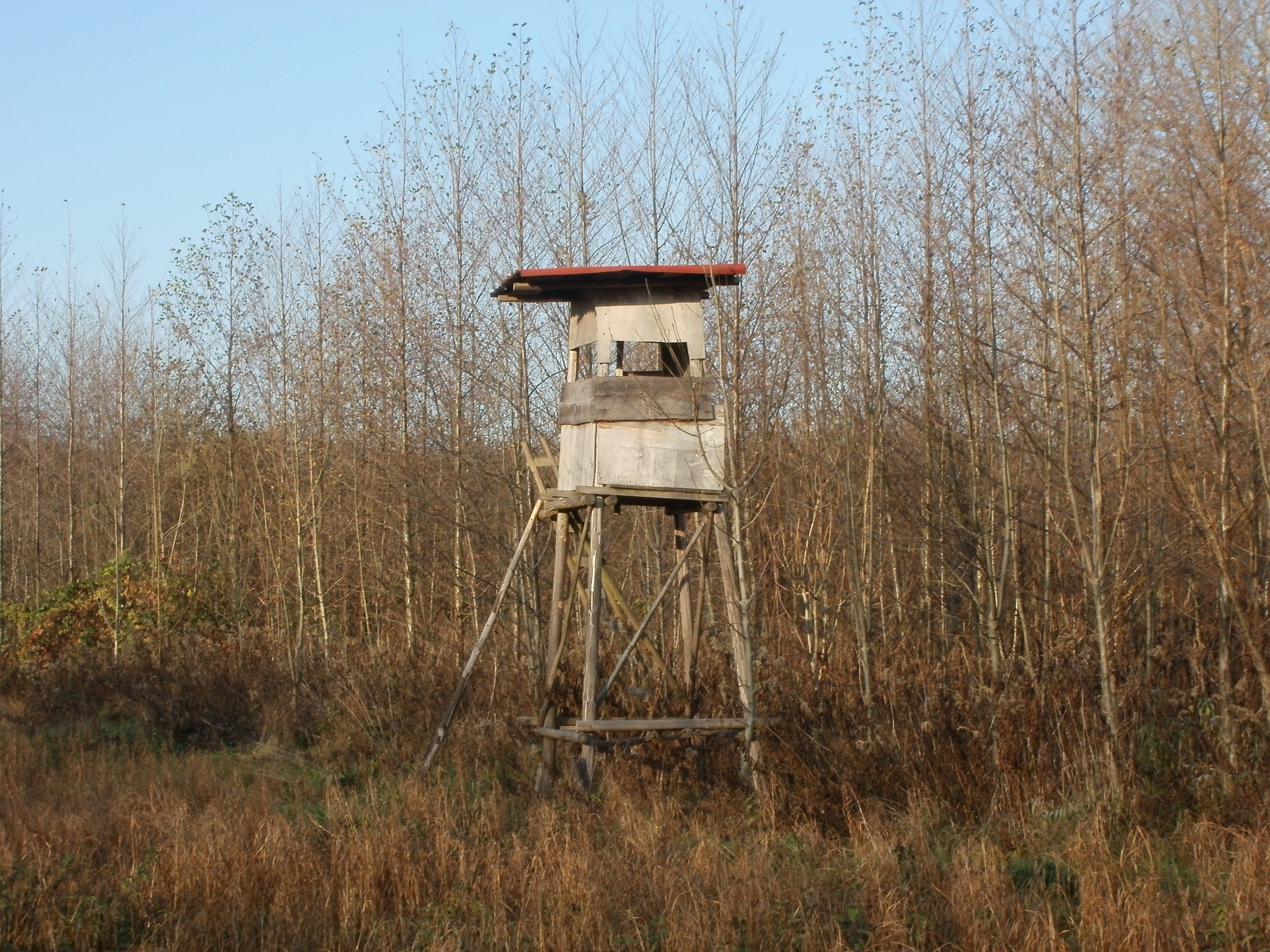 construction, lookout tower, 1080P, sky, stand, tranquility, field, tree, tower, water conservation, wildlife, grass, deer, ooking, non-urban scene, no people, HD Wallpaper