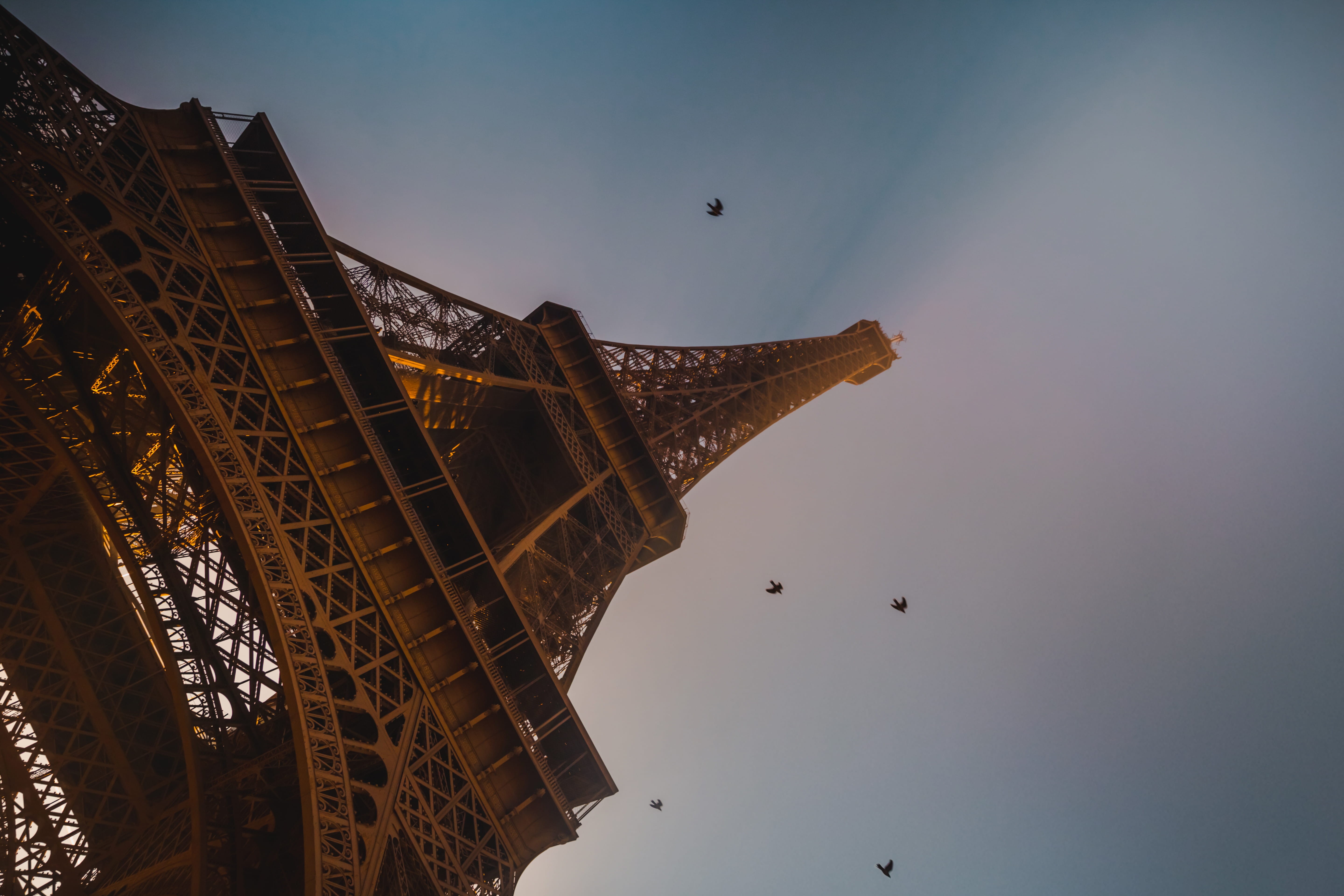 outdoors, history, structure, vertebrate, sky, metropolis, nature, travel destinations, the past, control tower, steeple, eiffel tower, belief, animal wildlife, HD Wallpaper