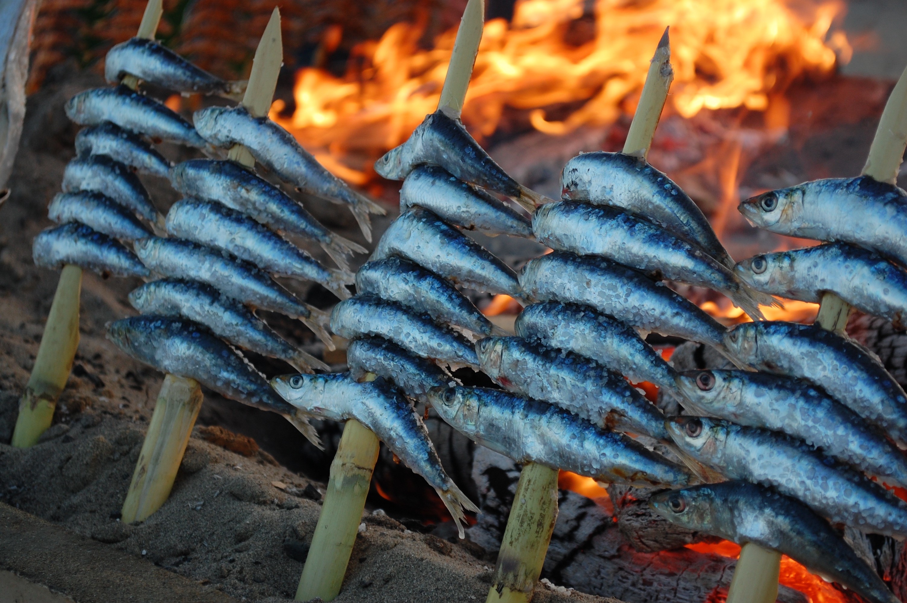 nature, barbecue grill, bonfire, freshness, flame, campfire, espeto, burning, skewers, marbella, glowing, food fire, preparing food, malaga, barbecue, 2K, HD Wallpaper