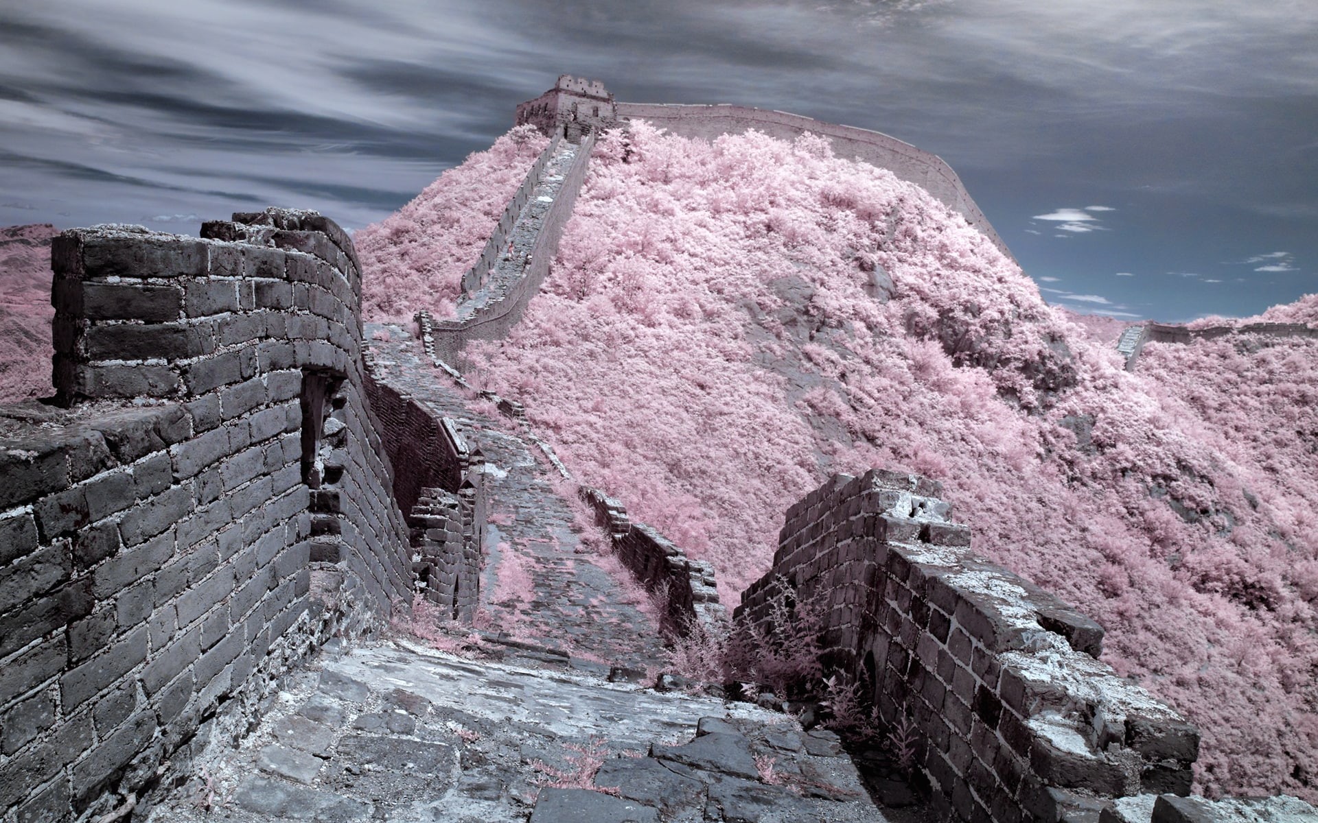 1080P, great, wall, the, hd, china, nature, pink, HD Wallpaper
