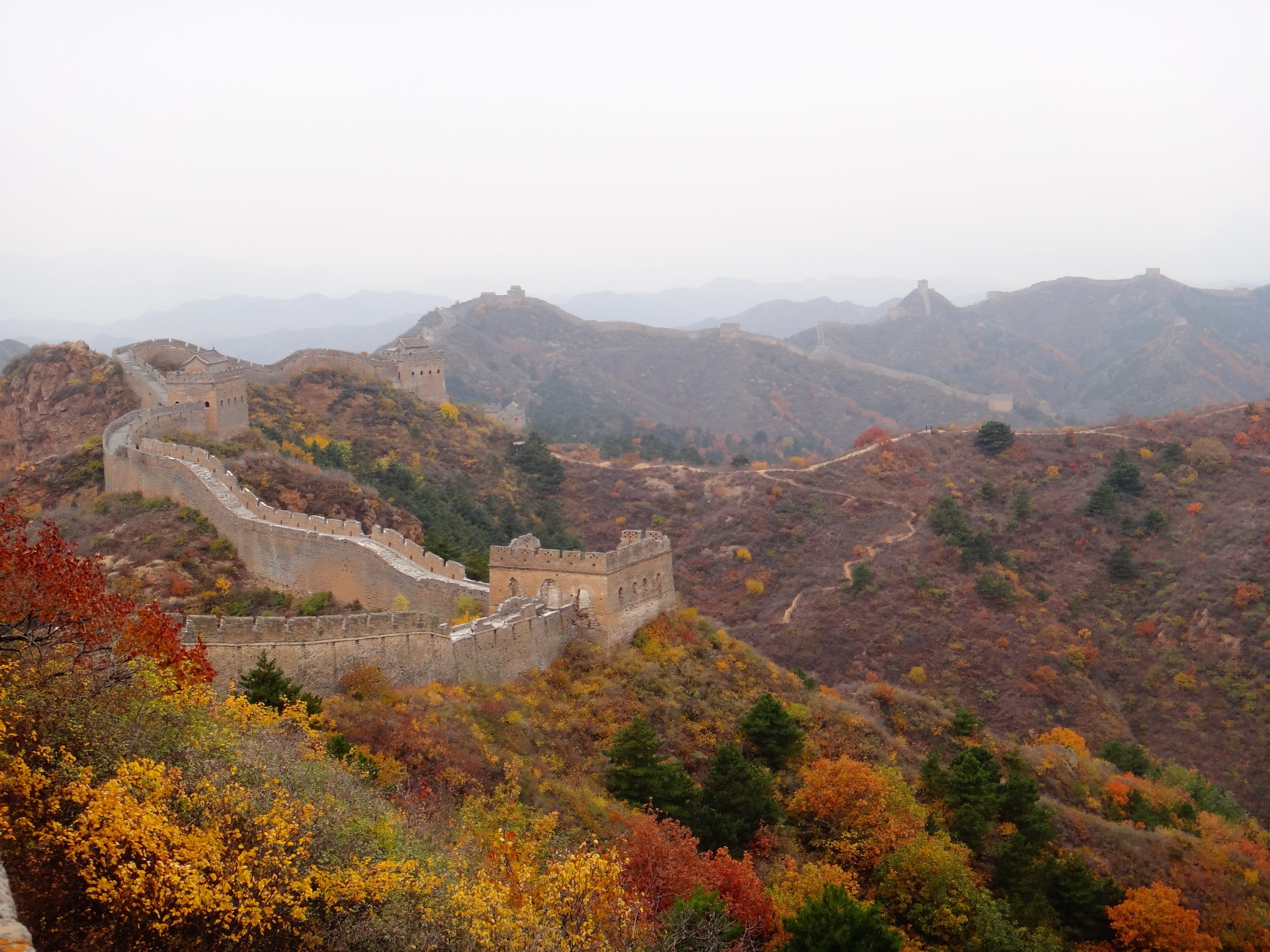 great wall of china, history, leaf, mountain, beauty in nature, day, Leaves, outdoors, scenics, Autumn, forest, sky, plant, the past, travel, wall, China, HD Wallpaper