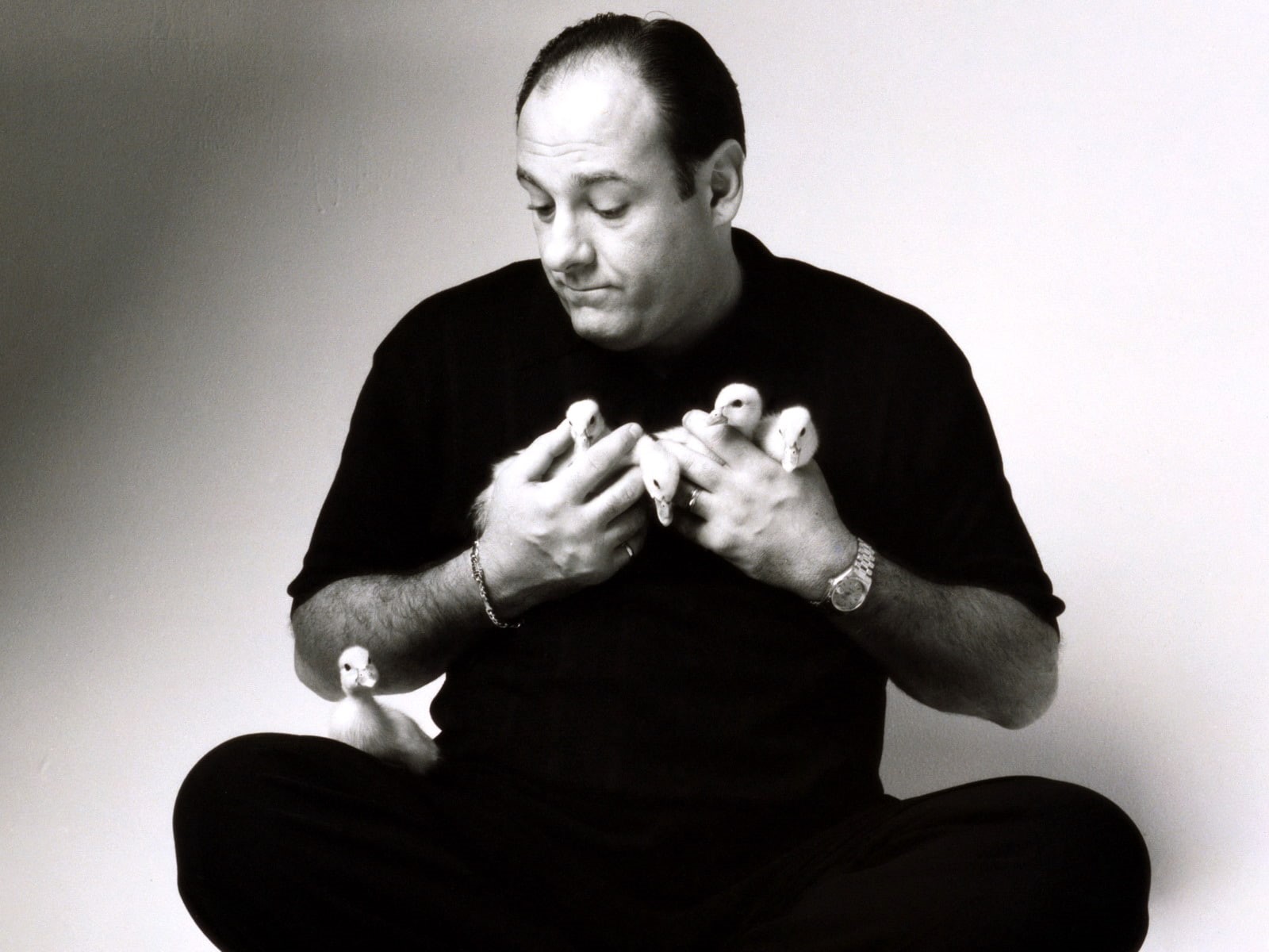 sopranos, drama, crime, 720P, hbo, television, mafia, HD Wallpaper