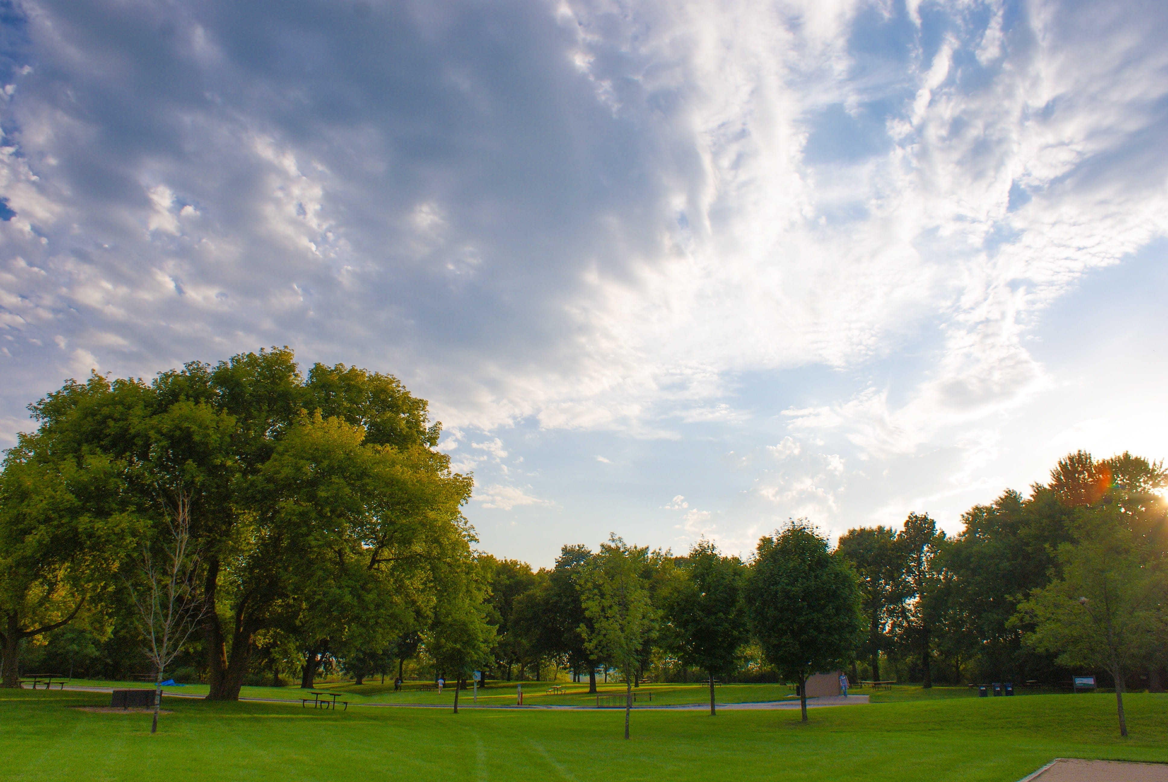 incidental people, golf course, playing field, outdoors, sunlight, park, lawn, nature, green color, day, sport, beauty in nature, meadow, cloud - sky, plant, HD Wallpaper
